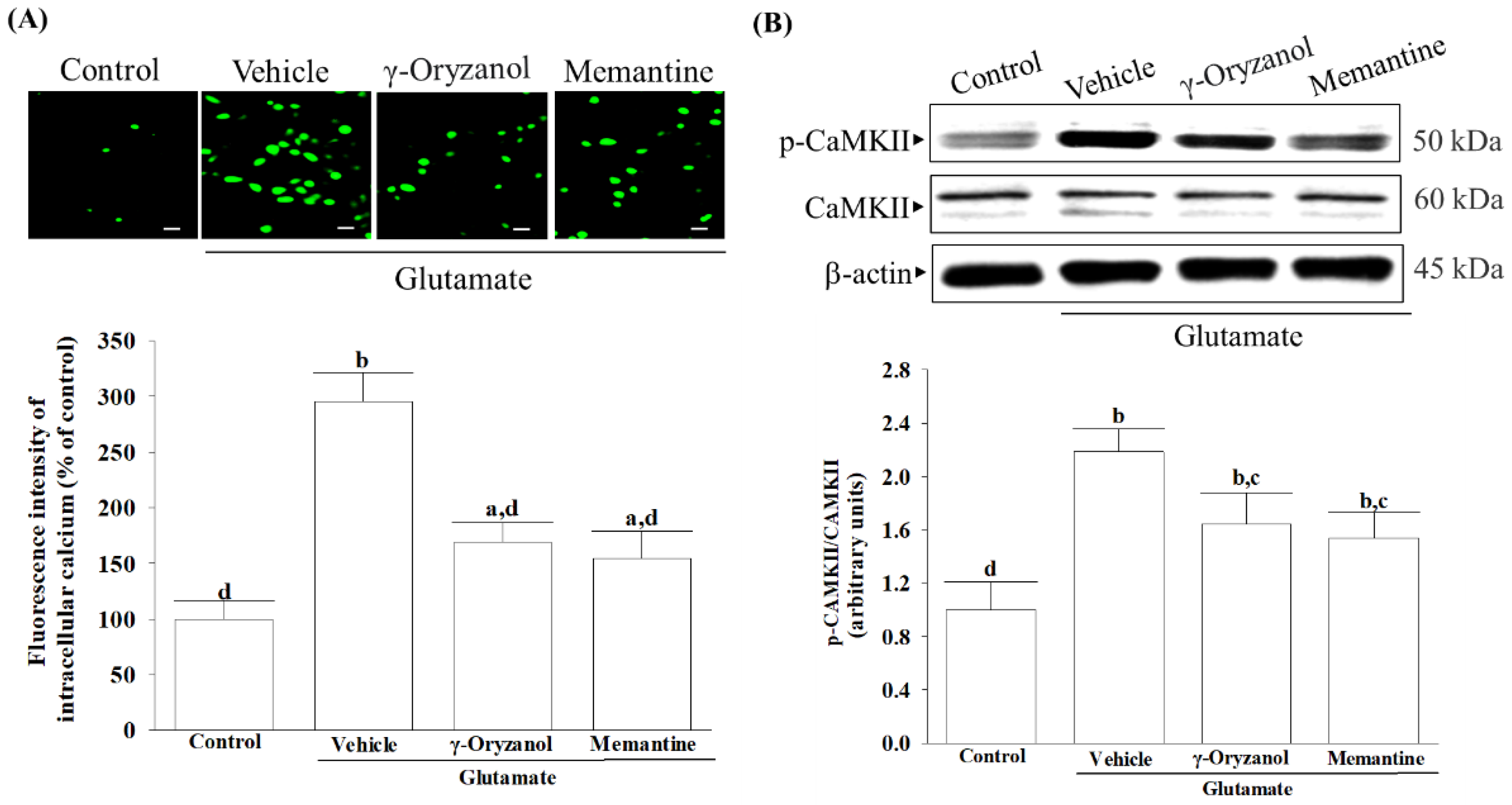 Nutrients 16 01237 g004