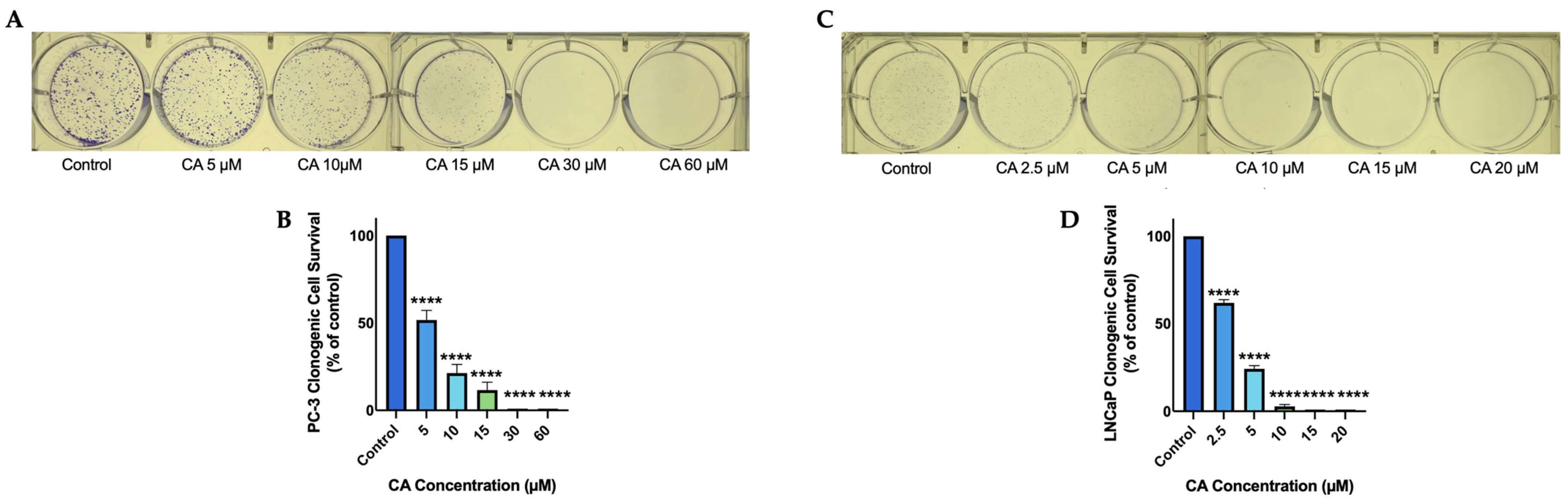 Nutrients 16 01257 g001