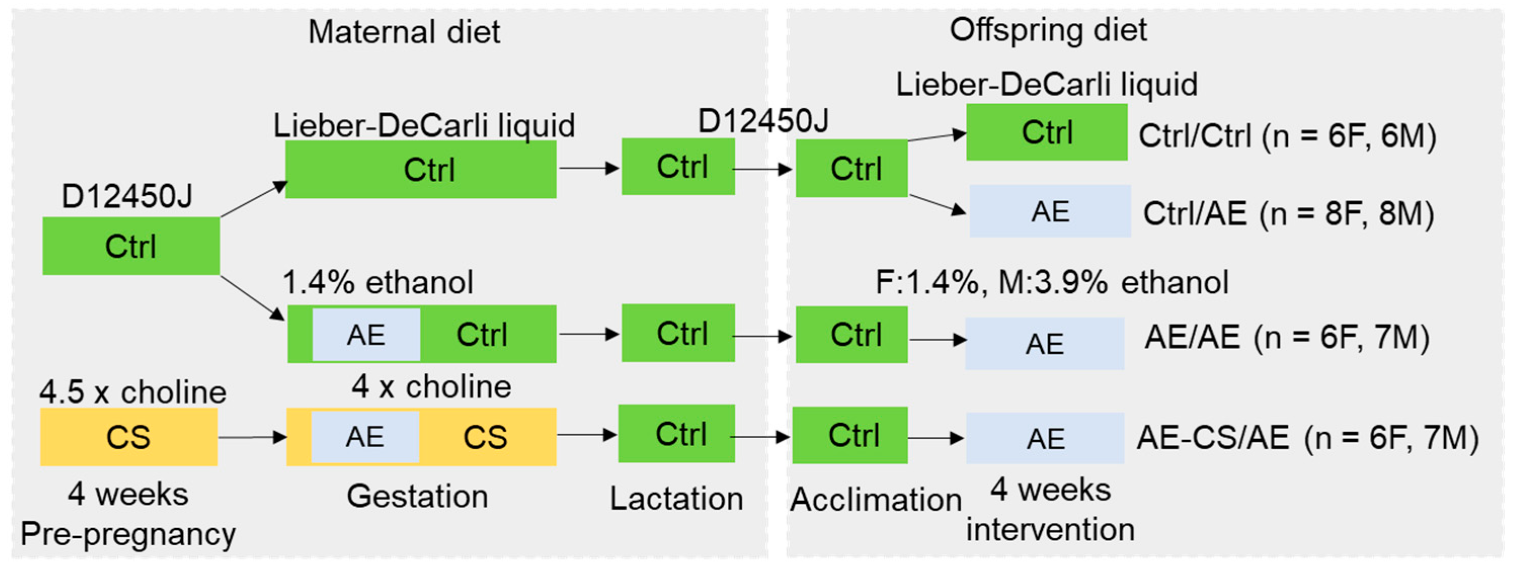 Nutrients 16 01264 g001