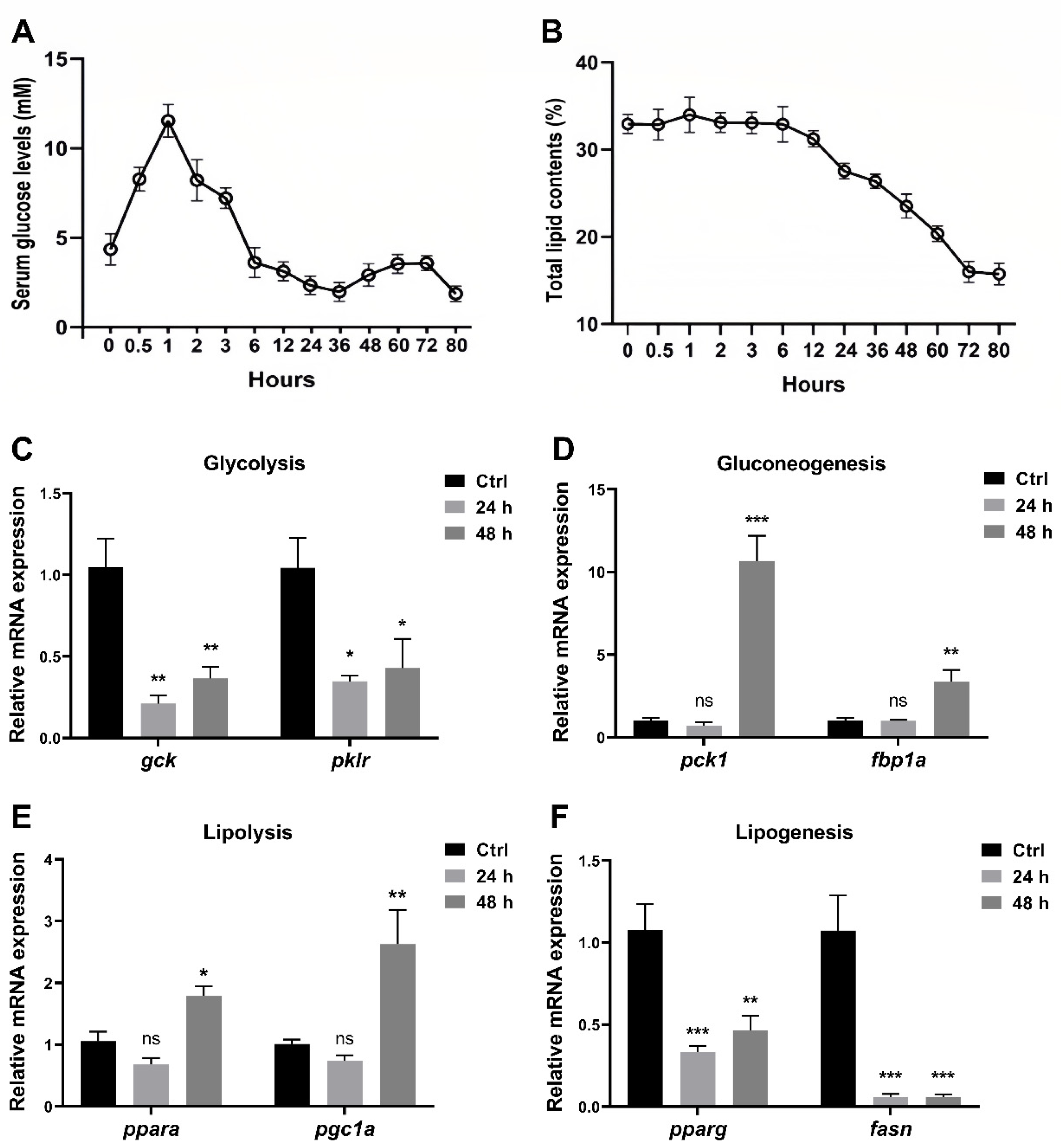 Nutrients 16 01271 g001 Nutrients 16 01271 g001