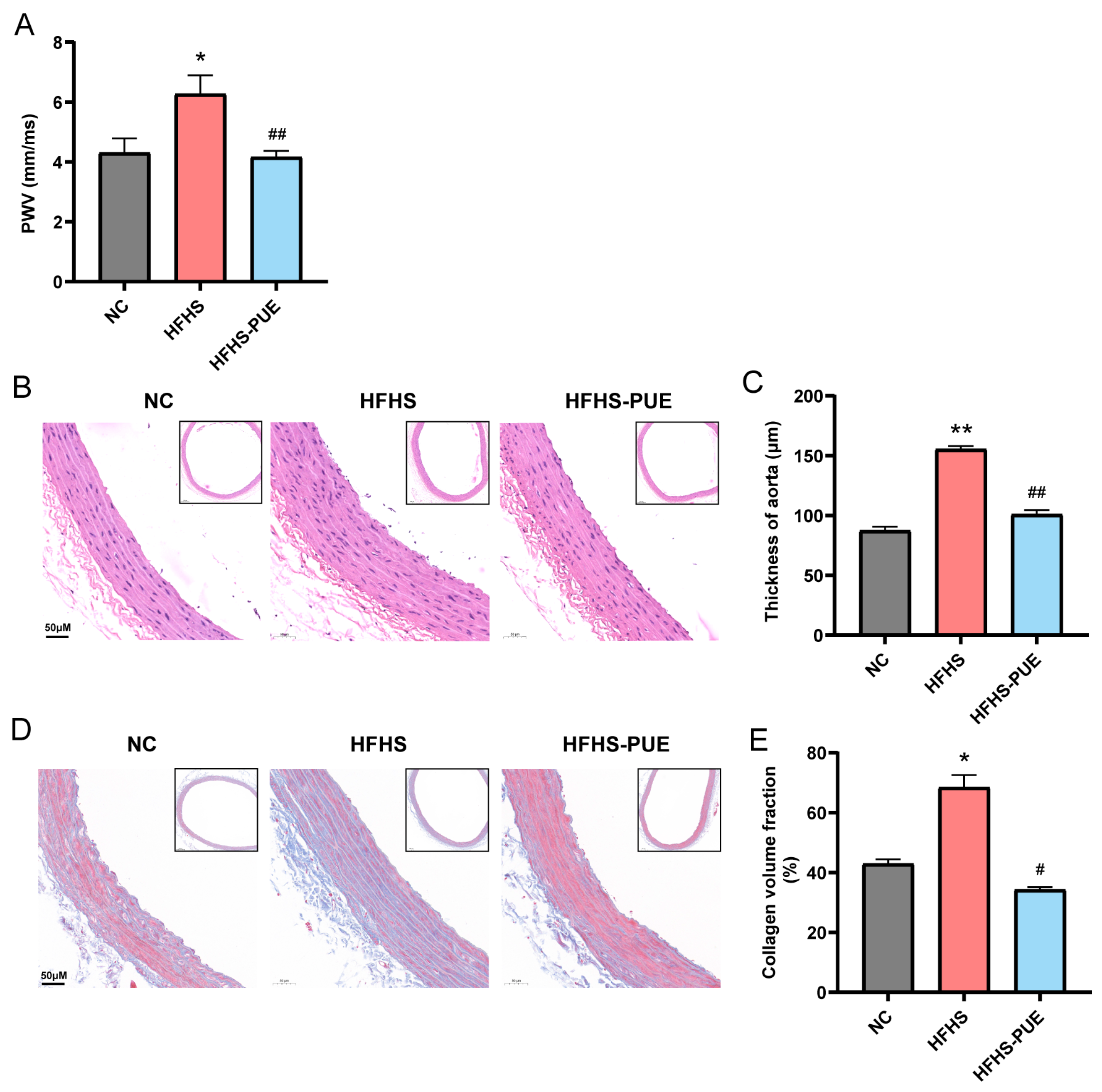 Nutrients 16 01273 g004