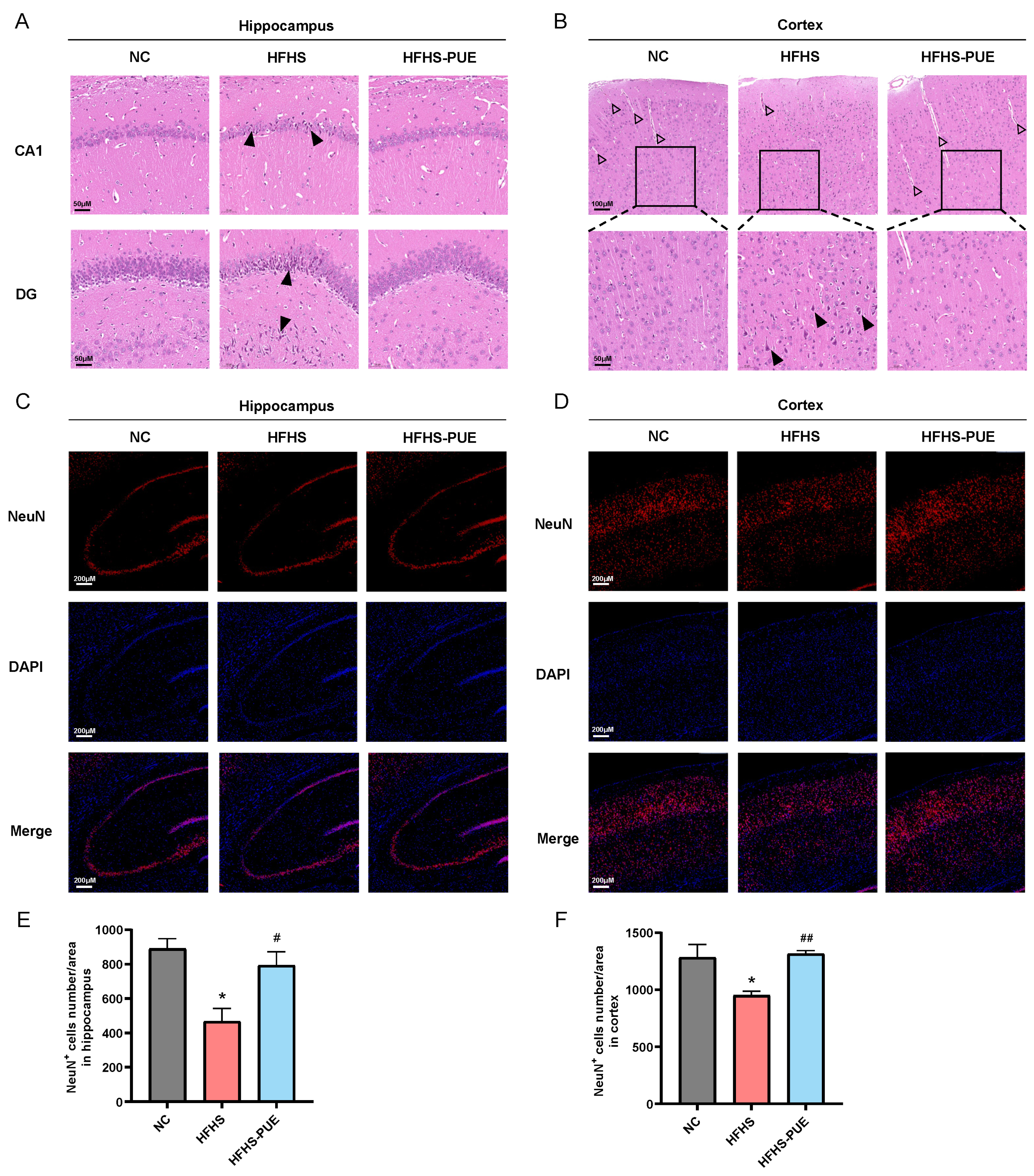 Nutrients 16 01273 g005