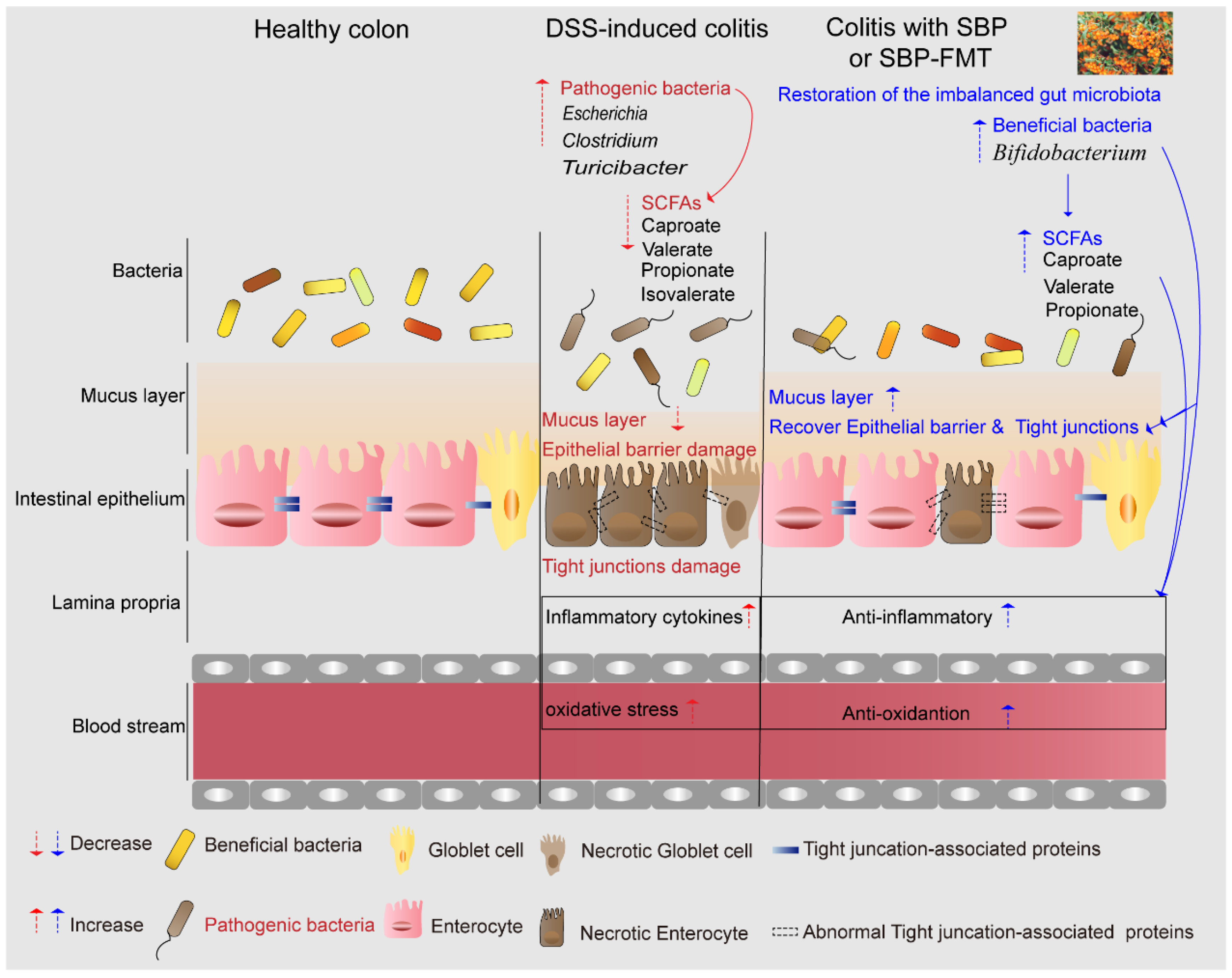 Nutrients 16 01280 g016