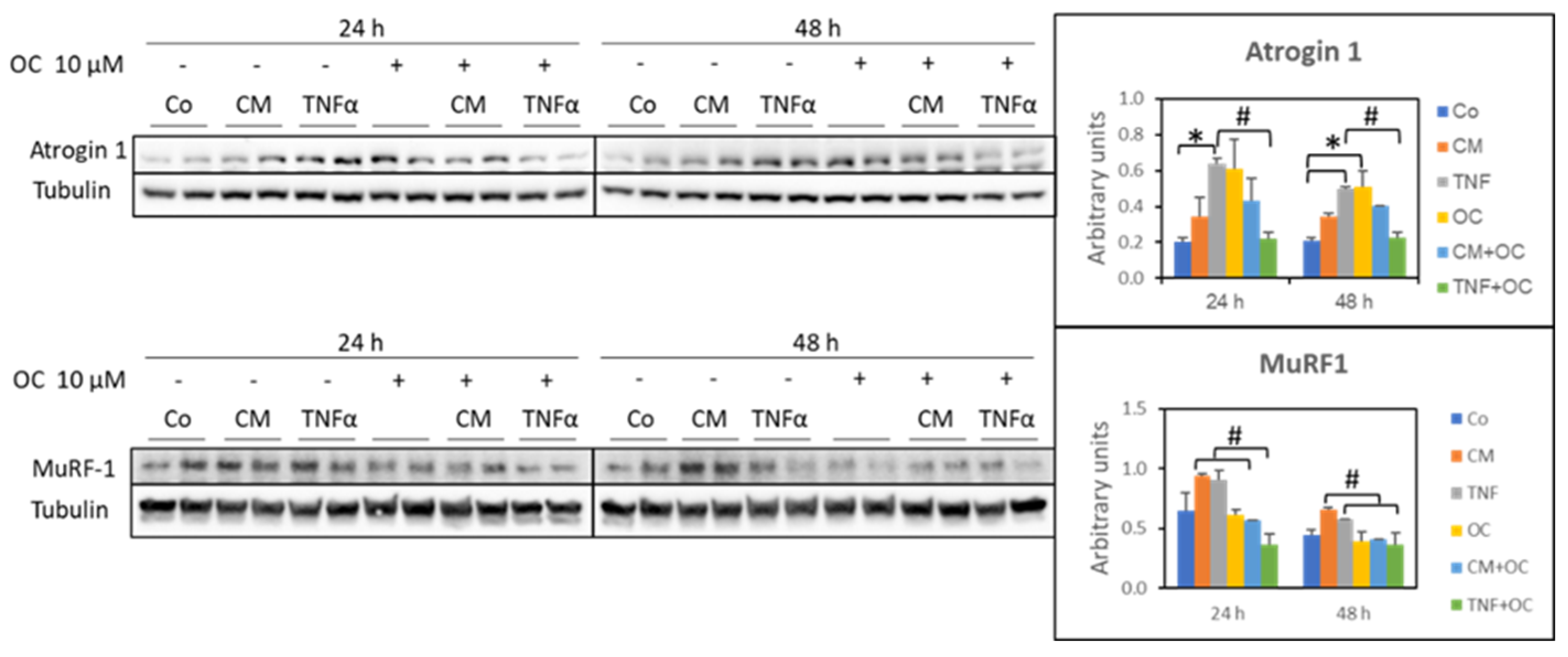 Nutrients 16 01302 g002