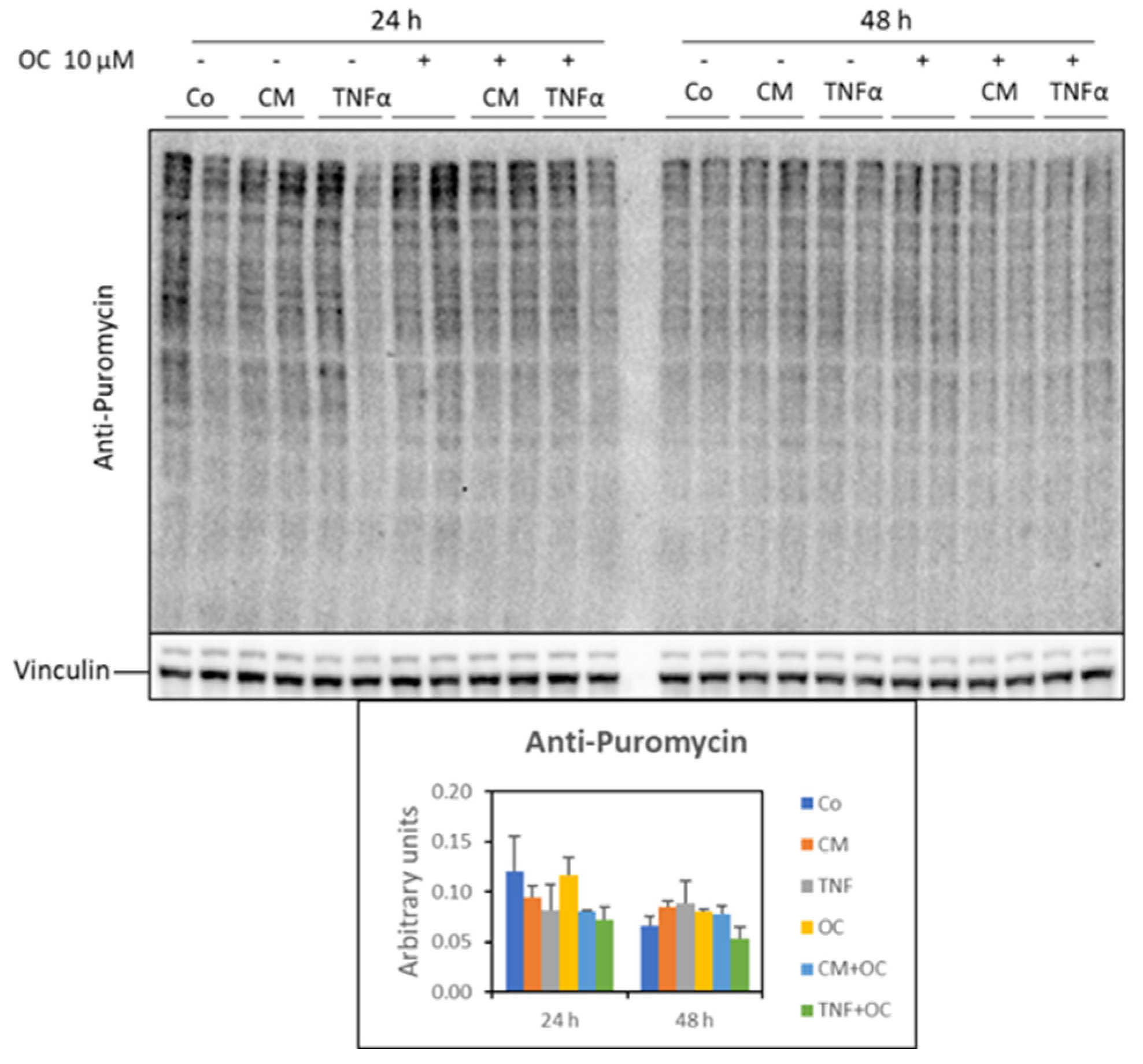 Nutrients 16 01302 g004