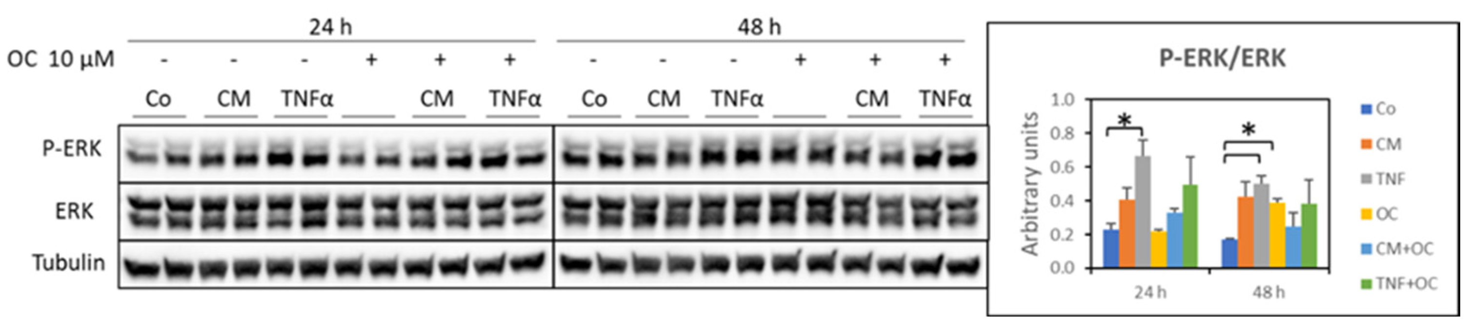 Nutrients 16 01302 g007