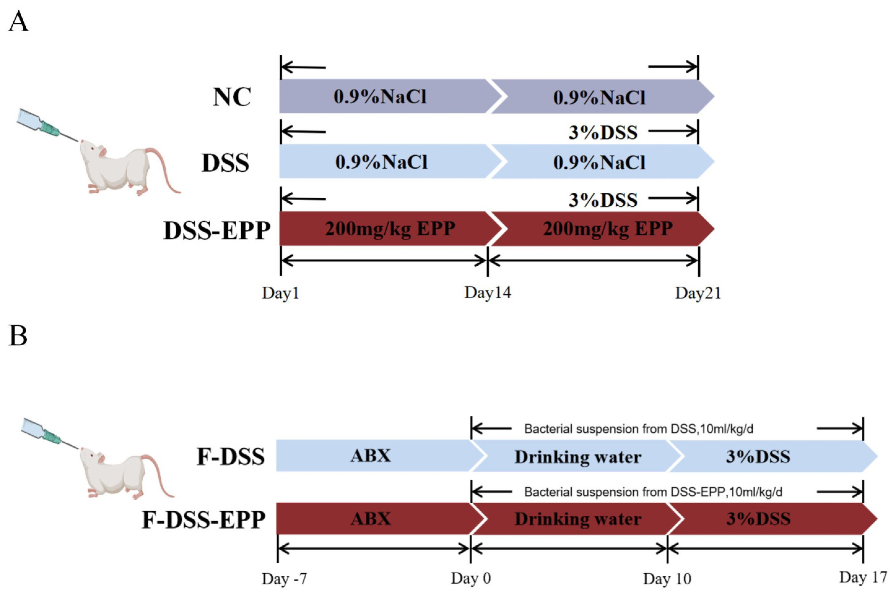 Nutrients 16 01305 g001