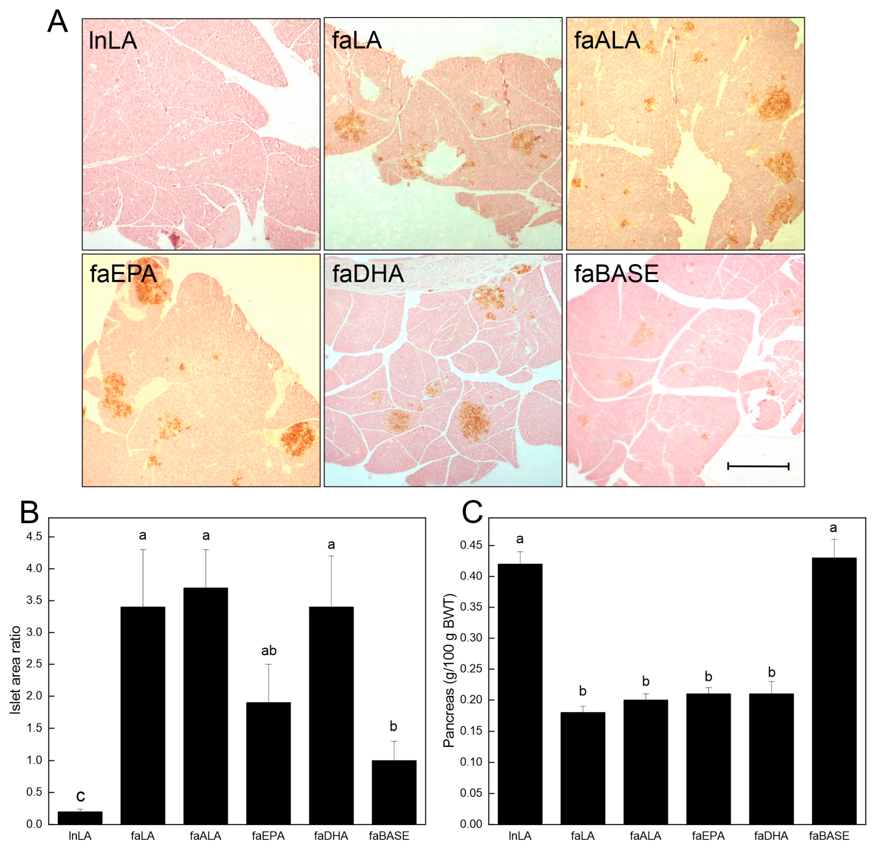 Nutrients 16 01311 g005