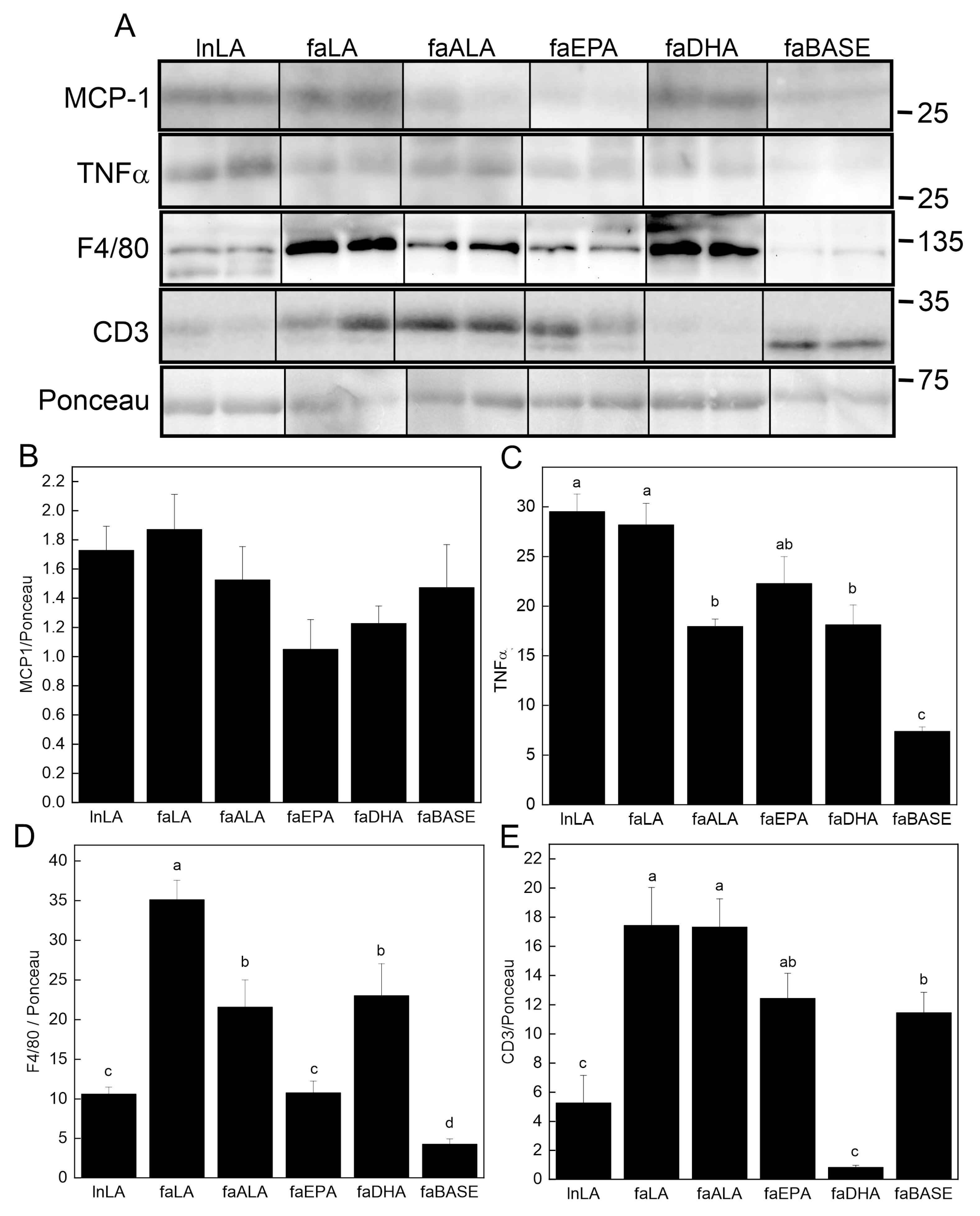 Nutrients 16 01311 g007