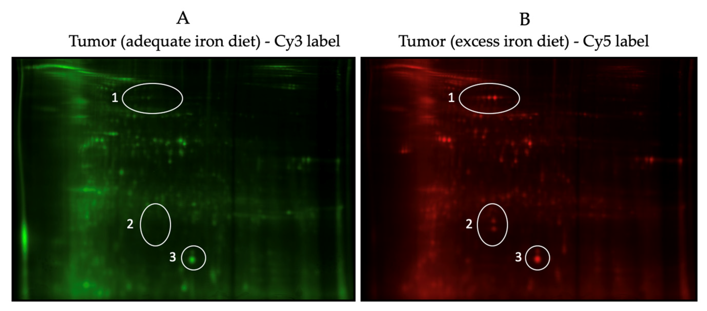 Nutrients 16 01316 g003