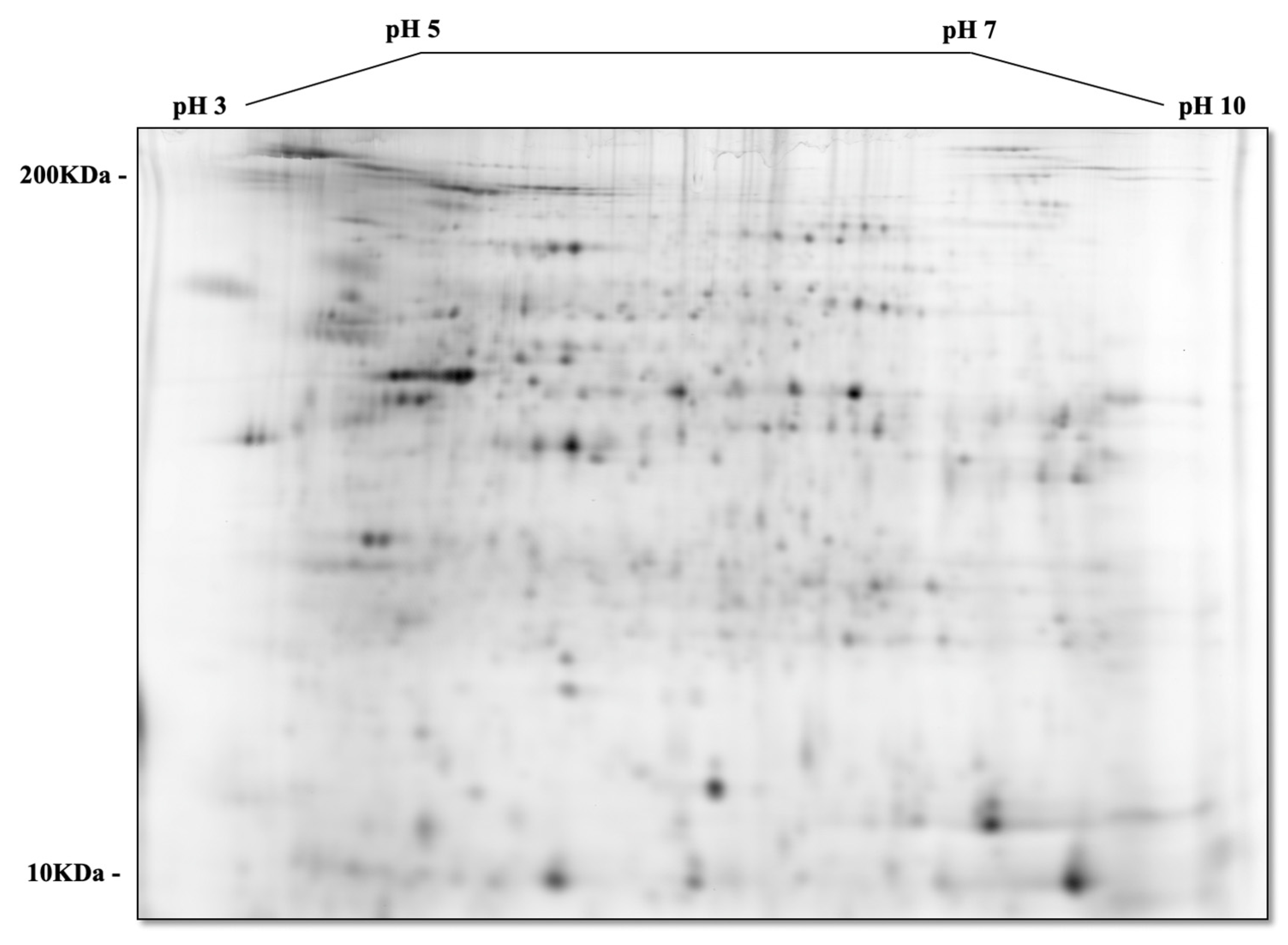 Nutrients 16 01316 g004