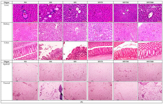 Nutrients 16 01356 g003a