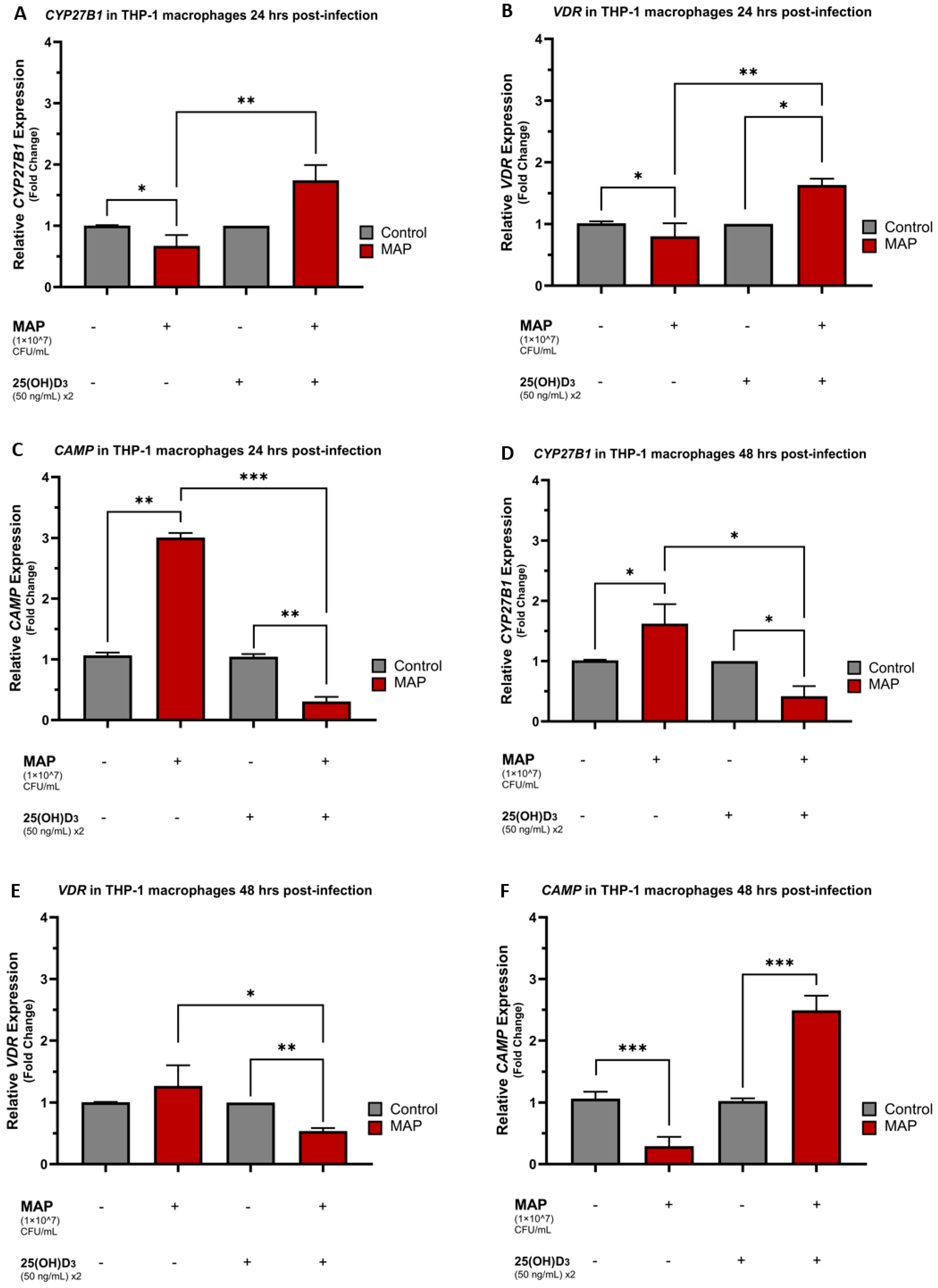 Nutrients 16 01358 g001