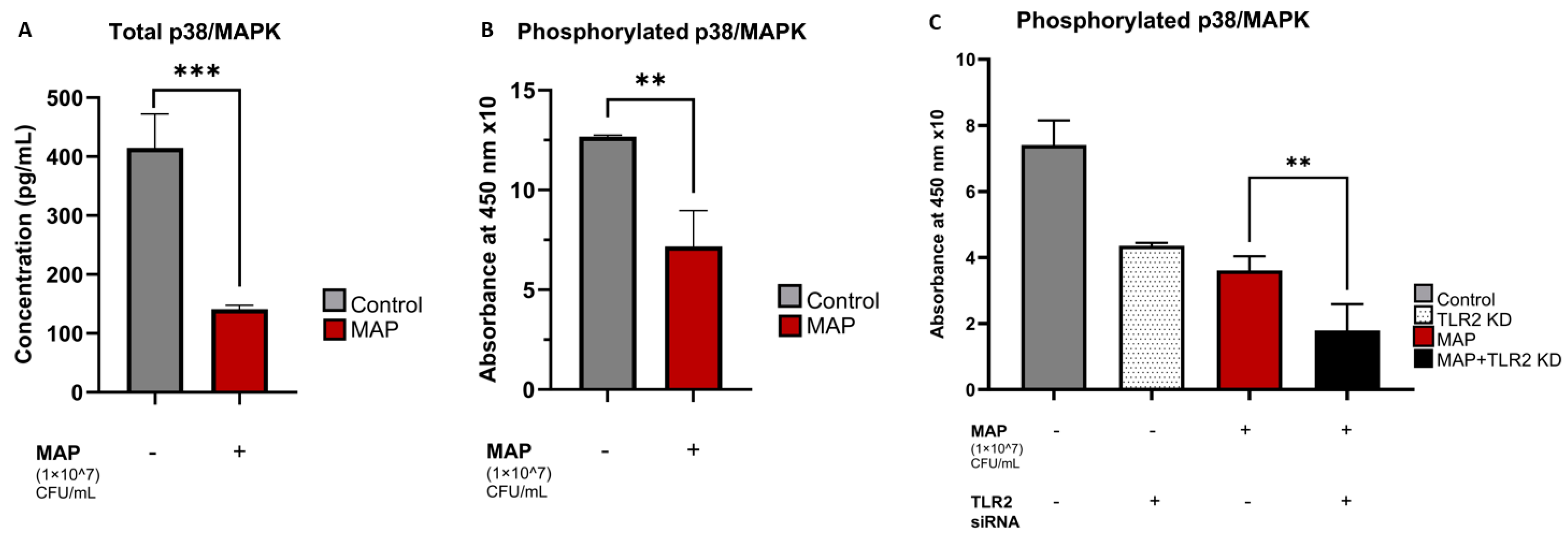 Nutrients 16 01358 g003