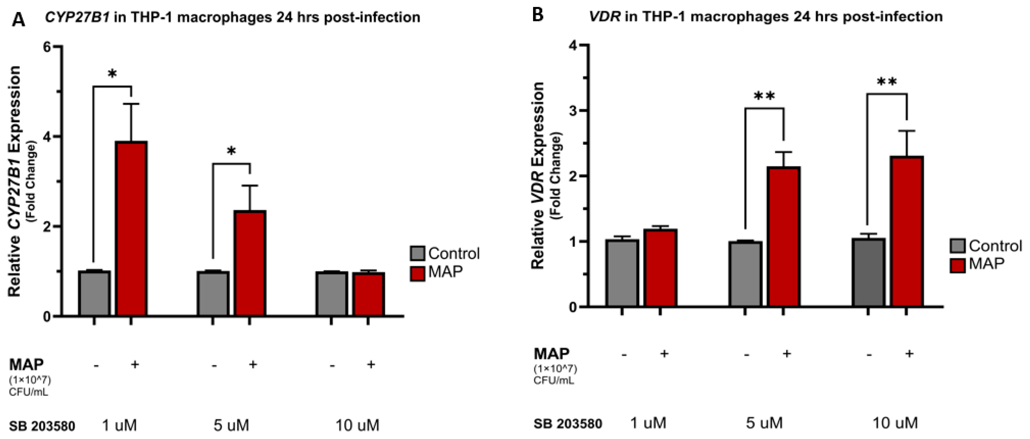 Nutrients 16 01358 g004a