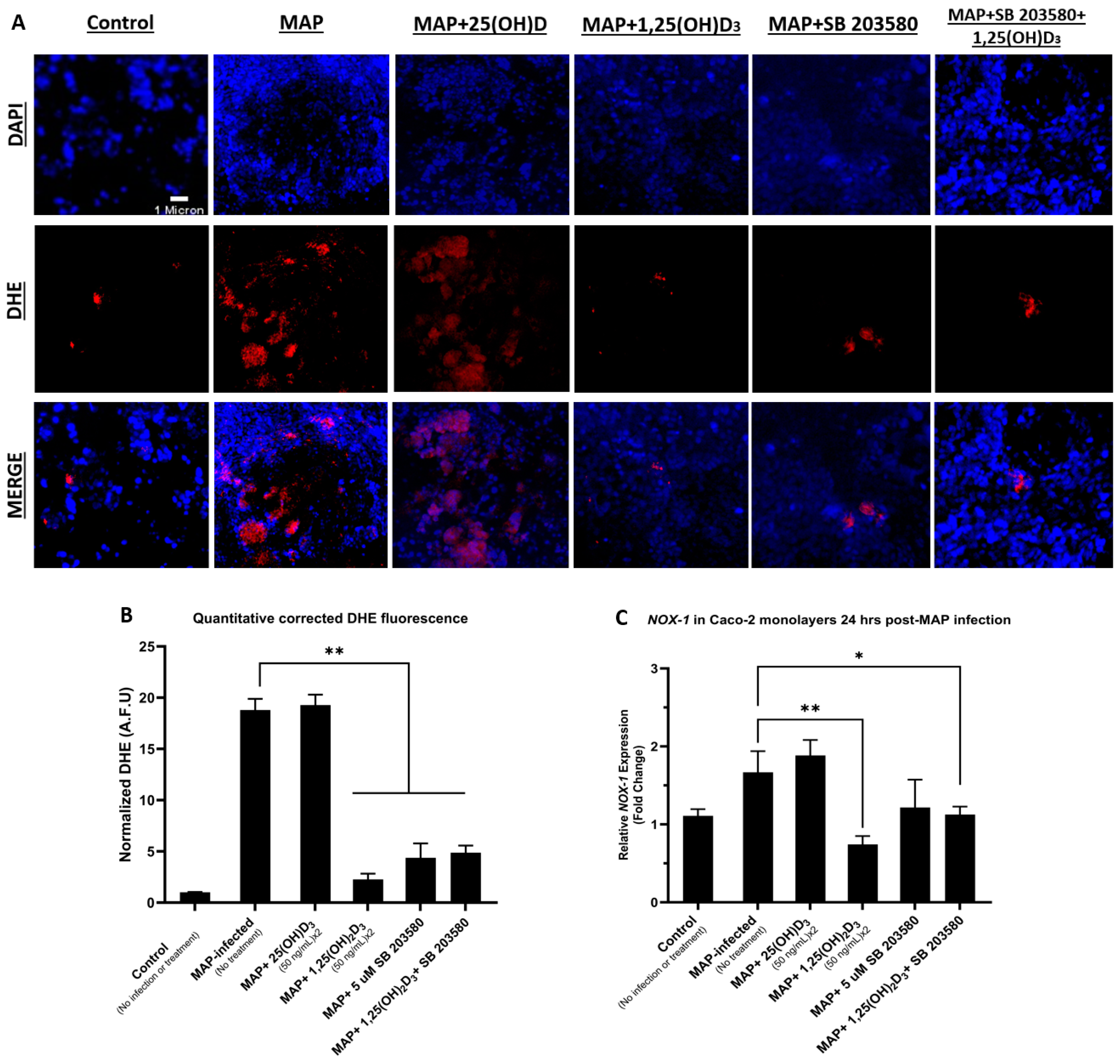 Nutrients 16 01358 g005