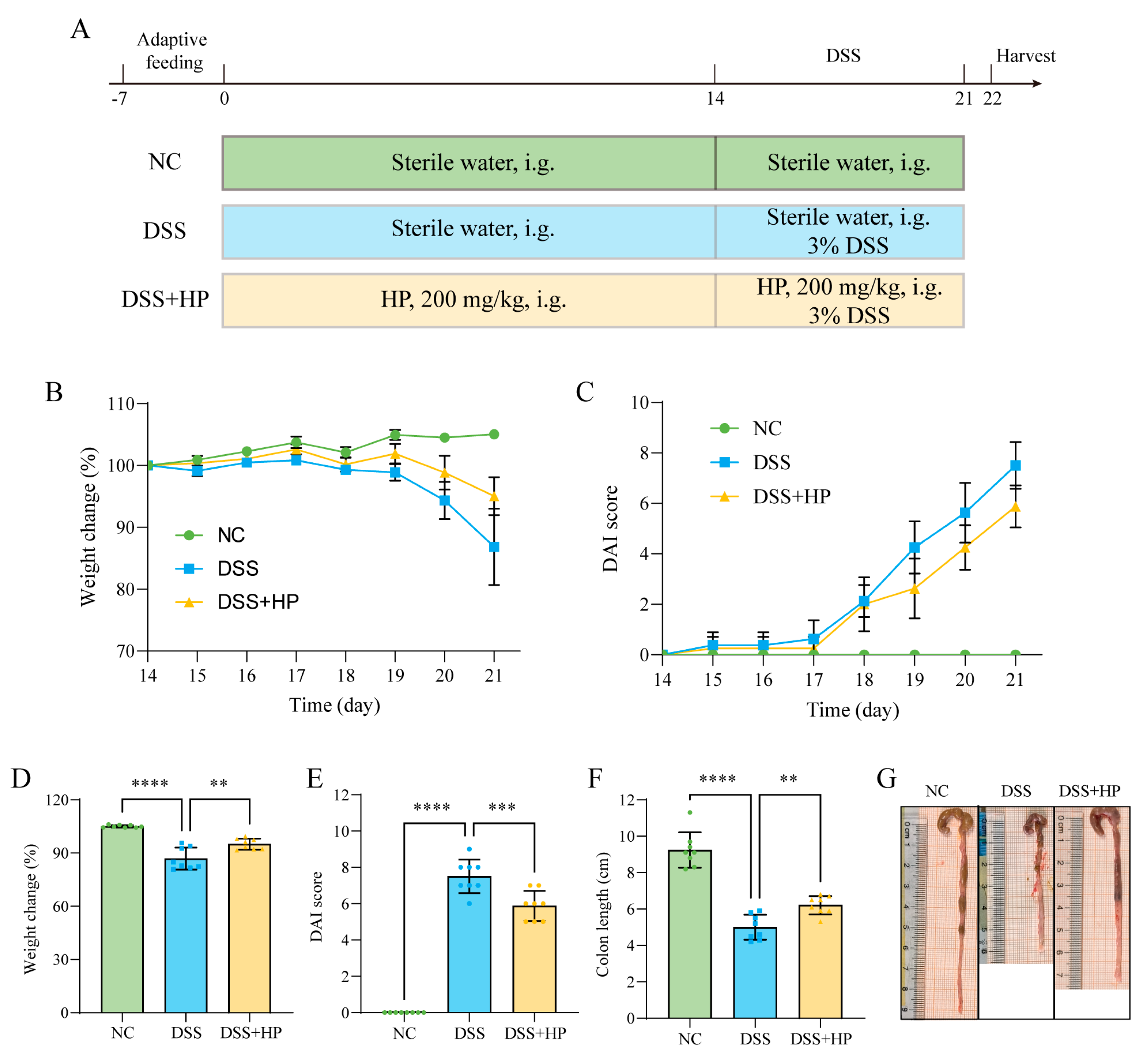 Nutrients 16 01368 g003