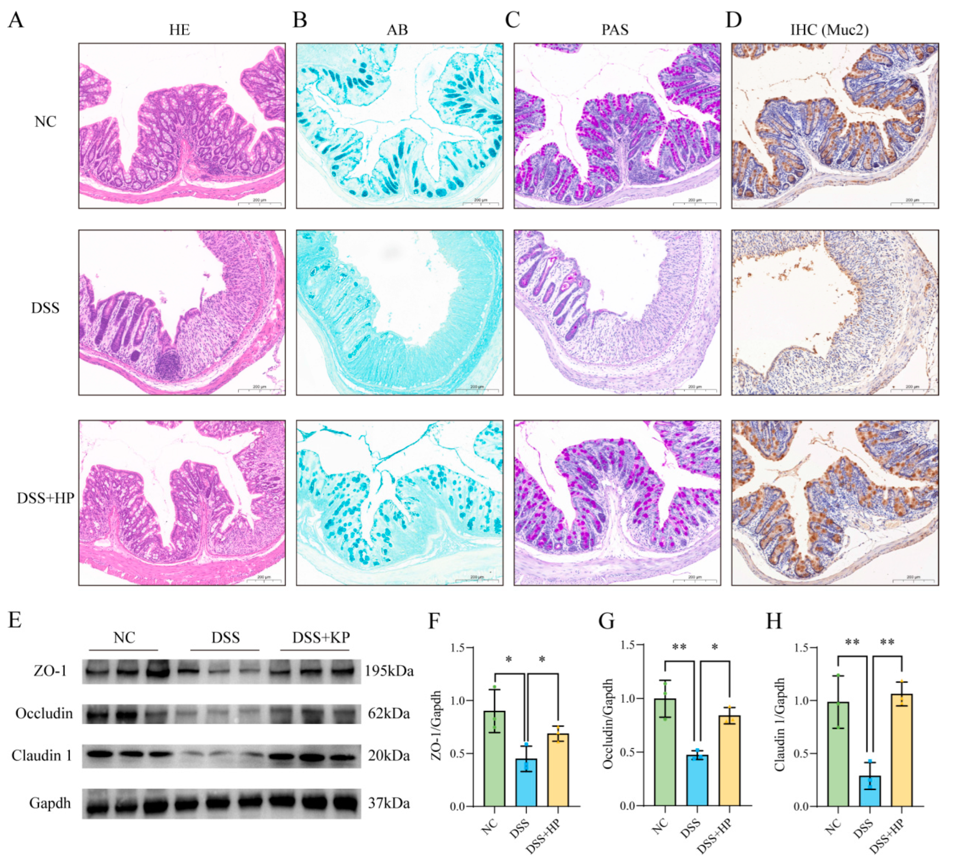 Nutrients 16 01368 g005