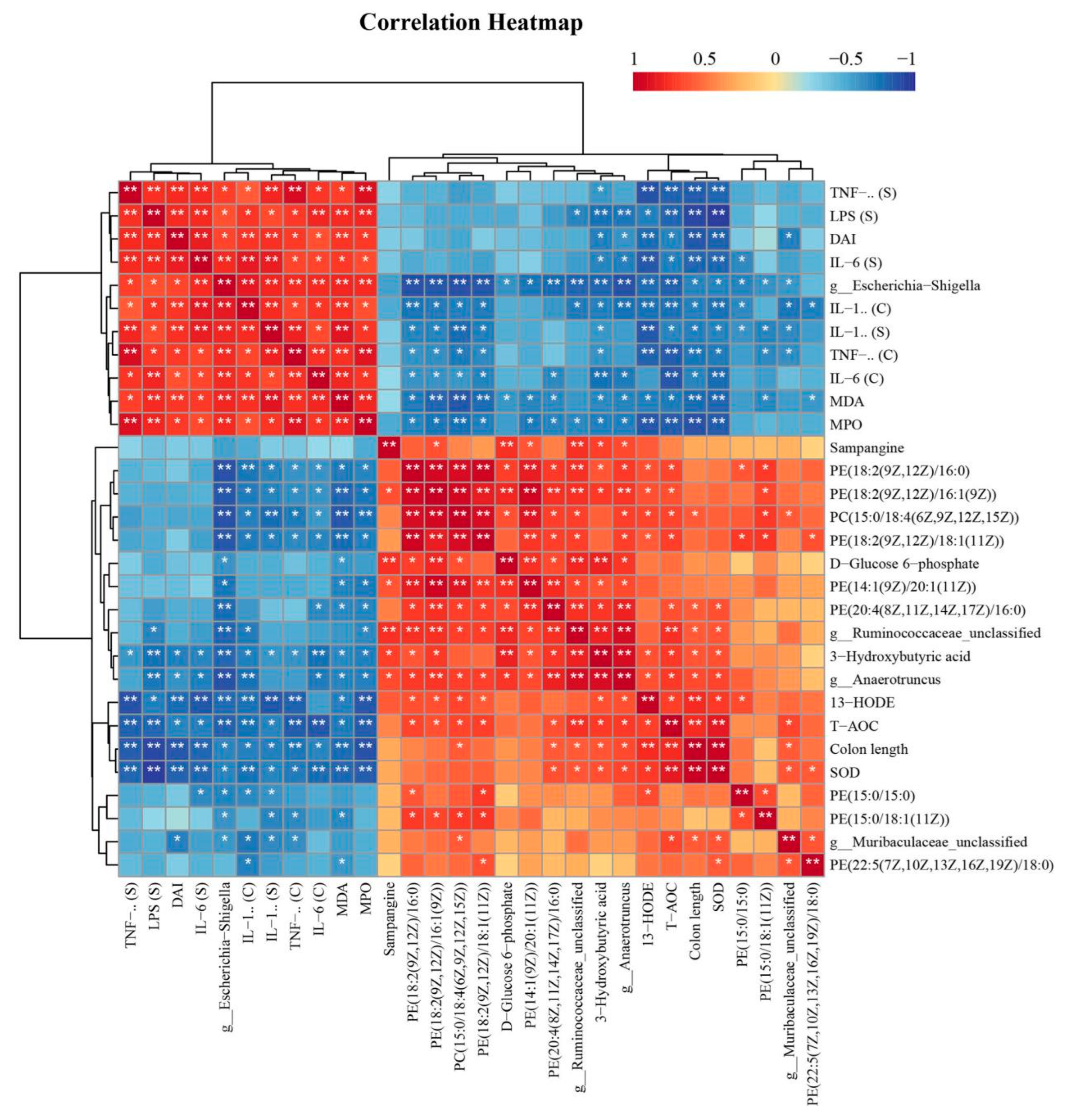 Nutrients 16 01368 g008