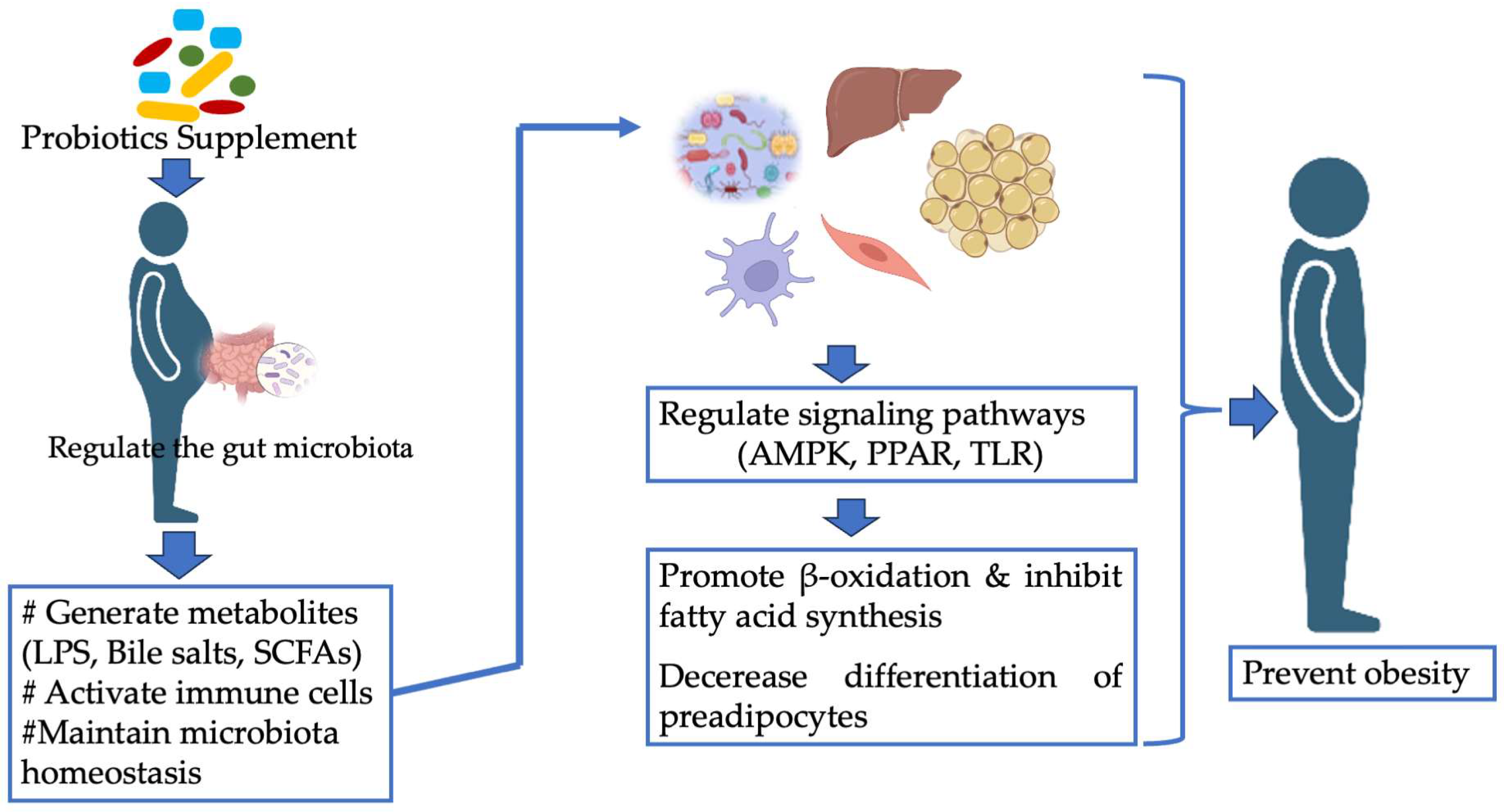Nutrients 16 01373 g003