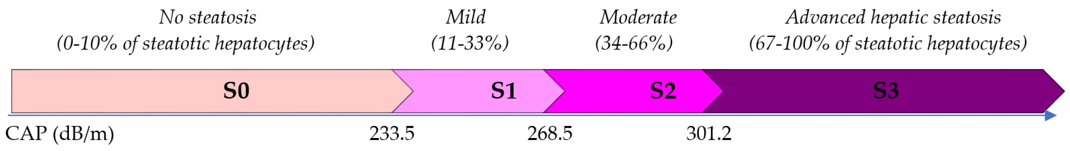 Nutrients 16 01381 g003