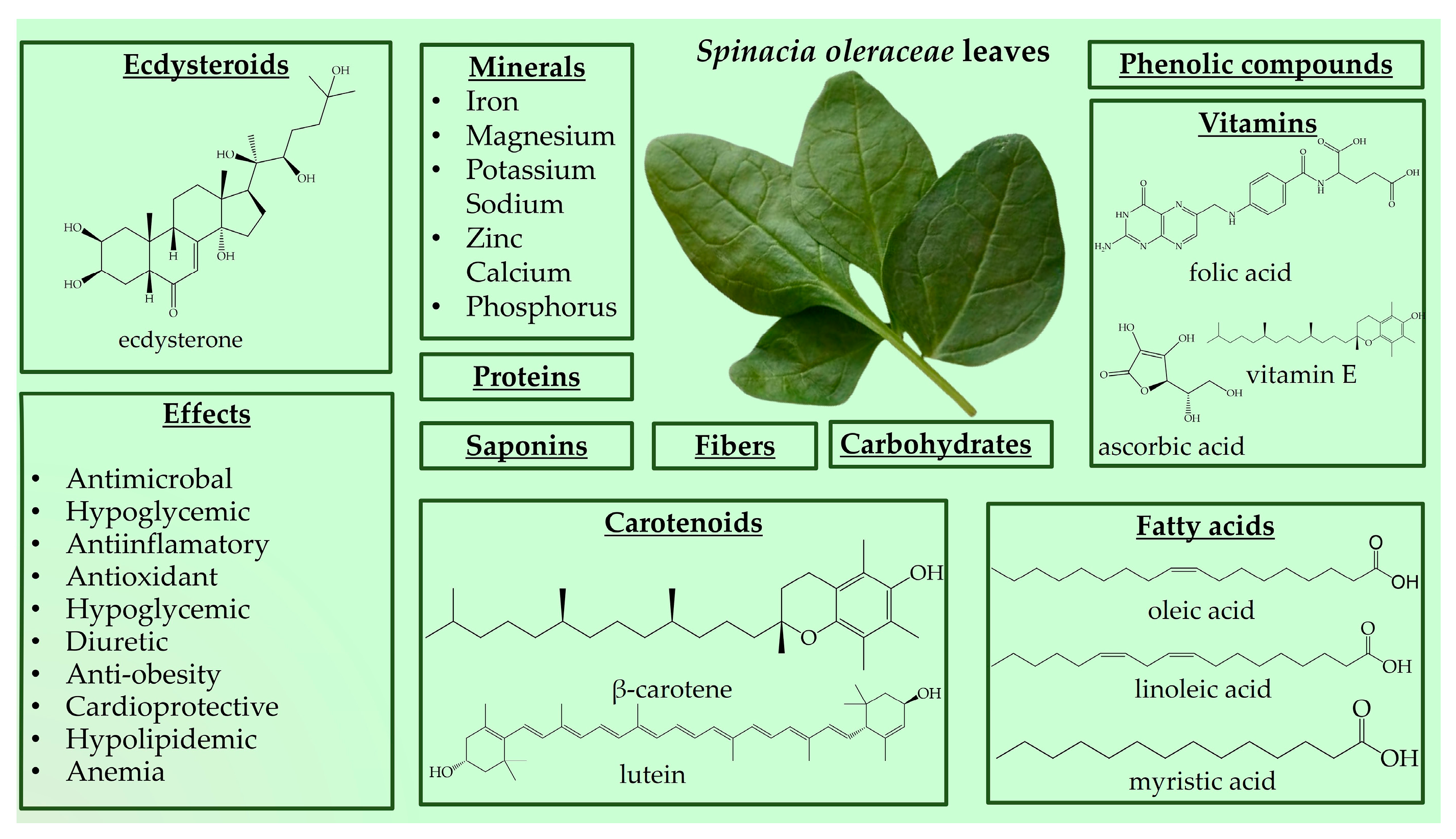 Nutrients 16 01382 g003