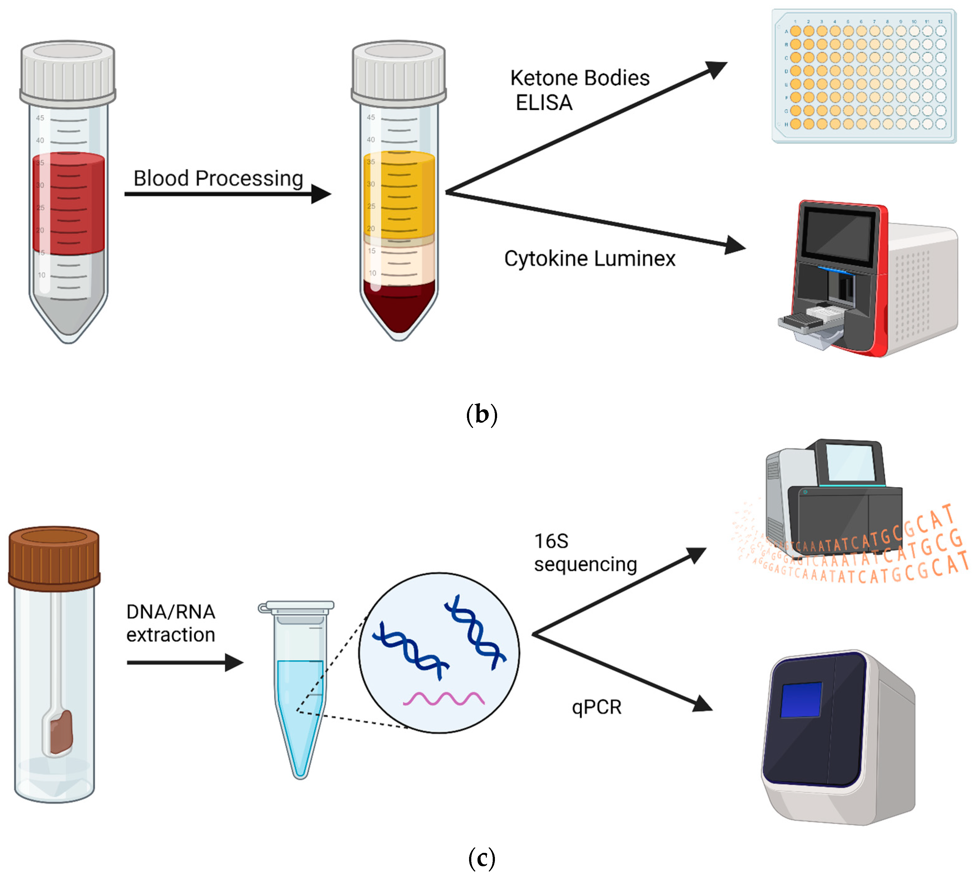 Nutrients 16 01401 g001b
