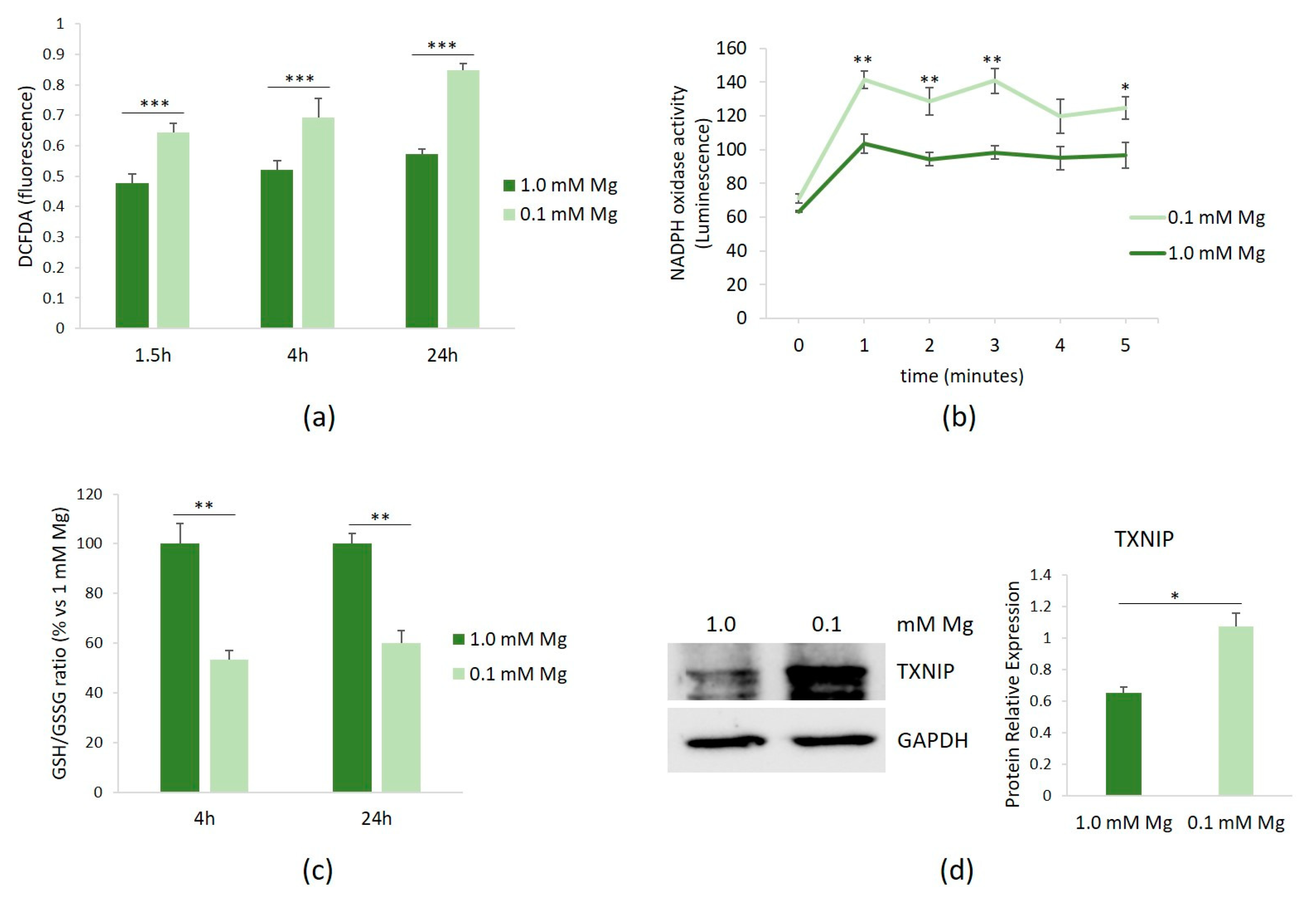 Nutrients 16 01406 g001