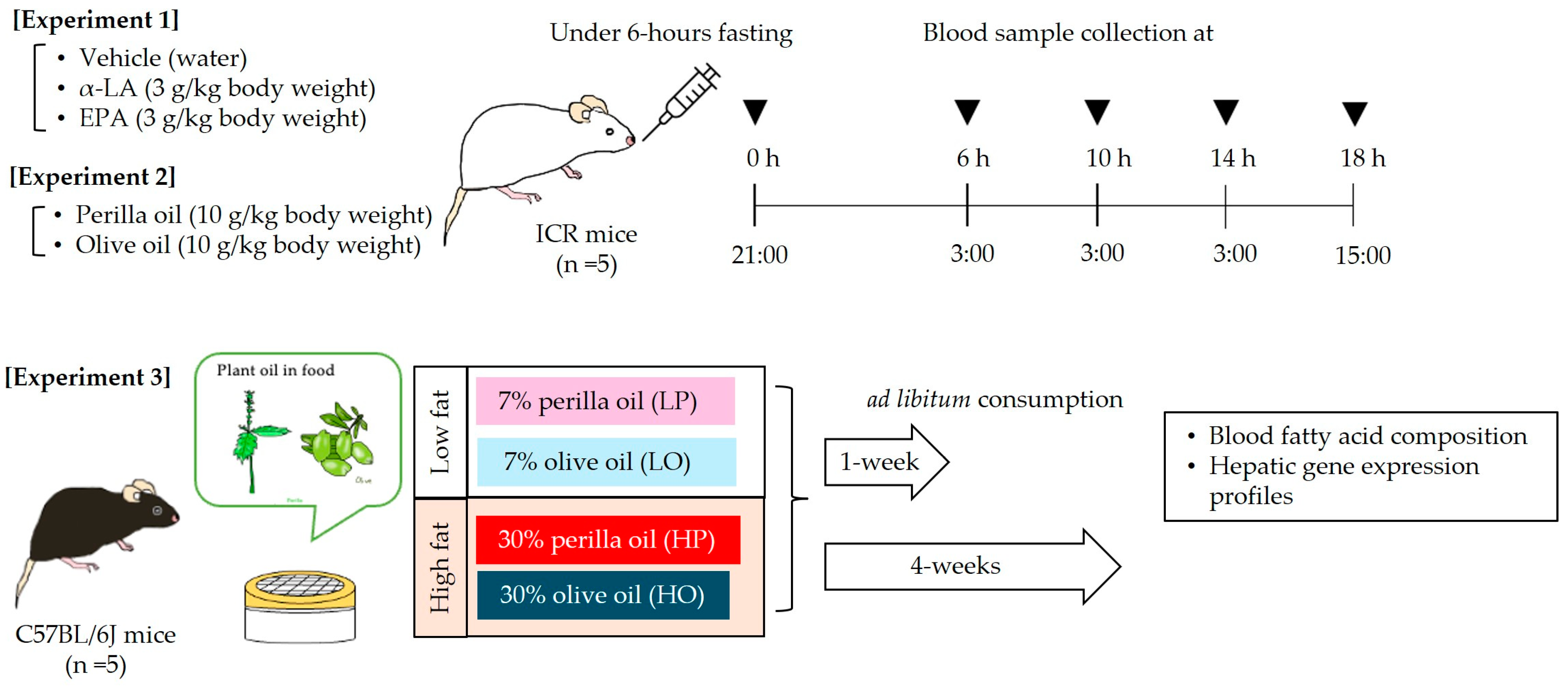 Nutrients 16 01407 g001 Nutrients 16 01407 g001