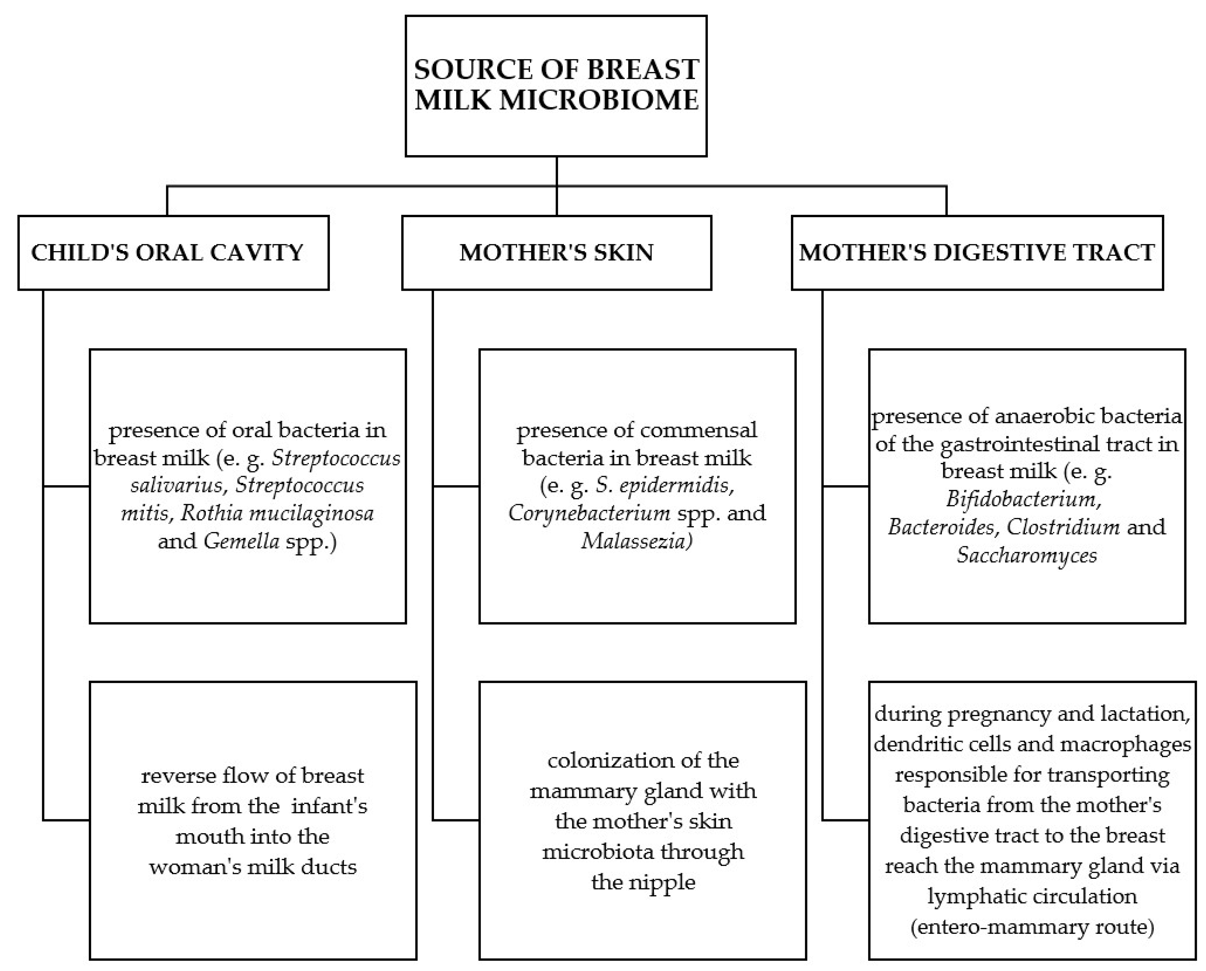 Nutrients 16 01420 g003