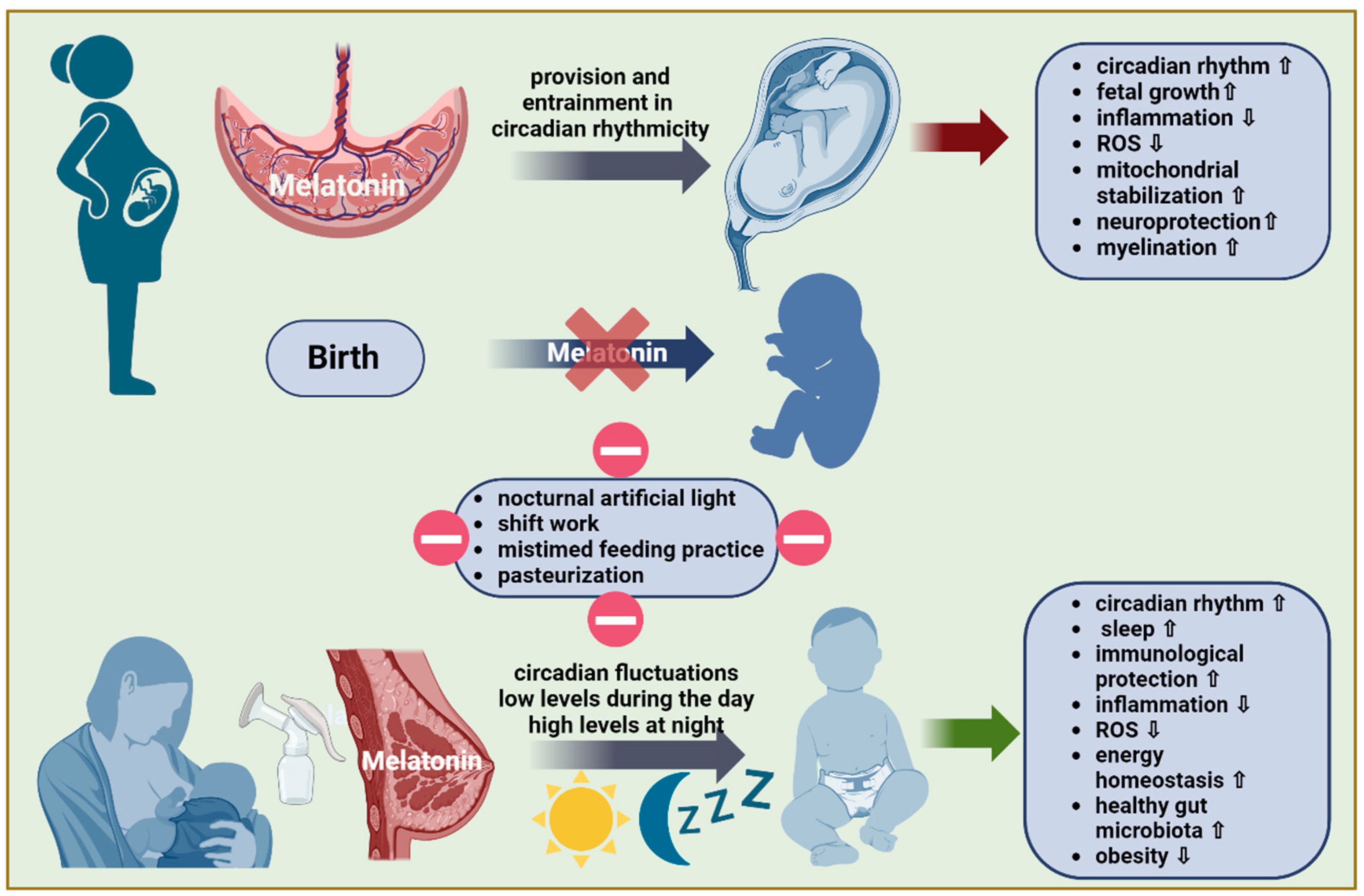 Nutrients 16 01422 g001