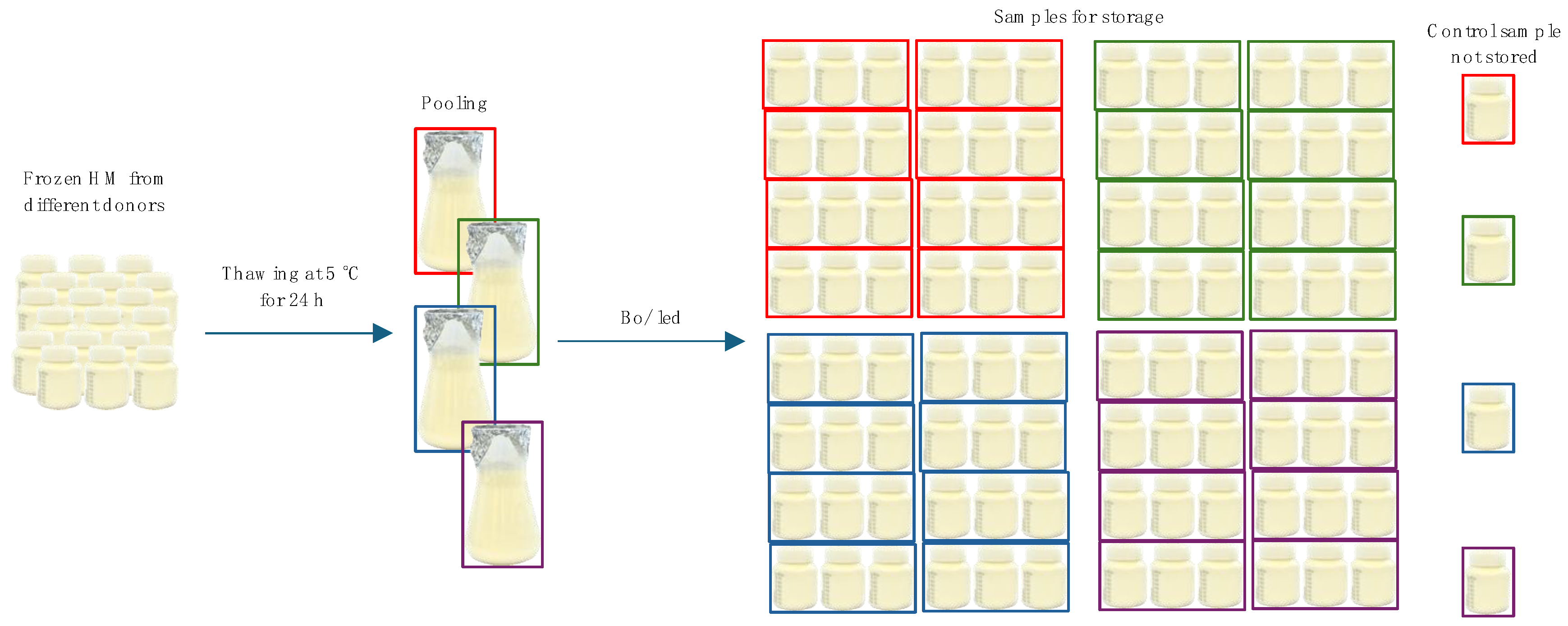 Nutrients 16 01455 g001