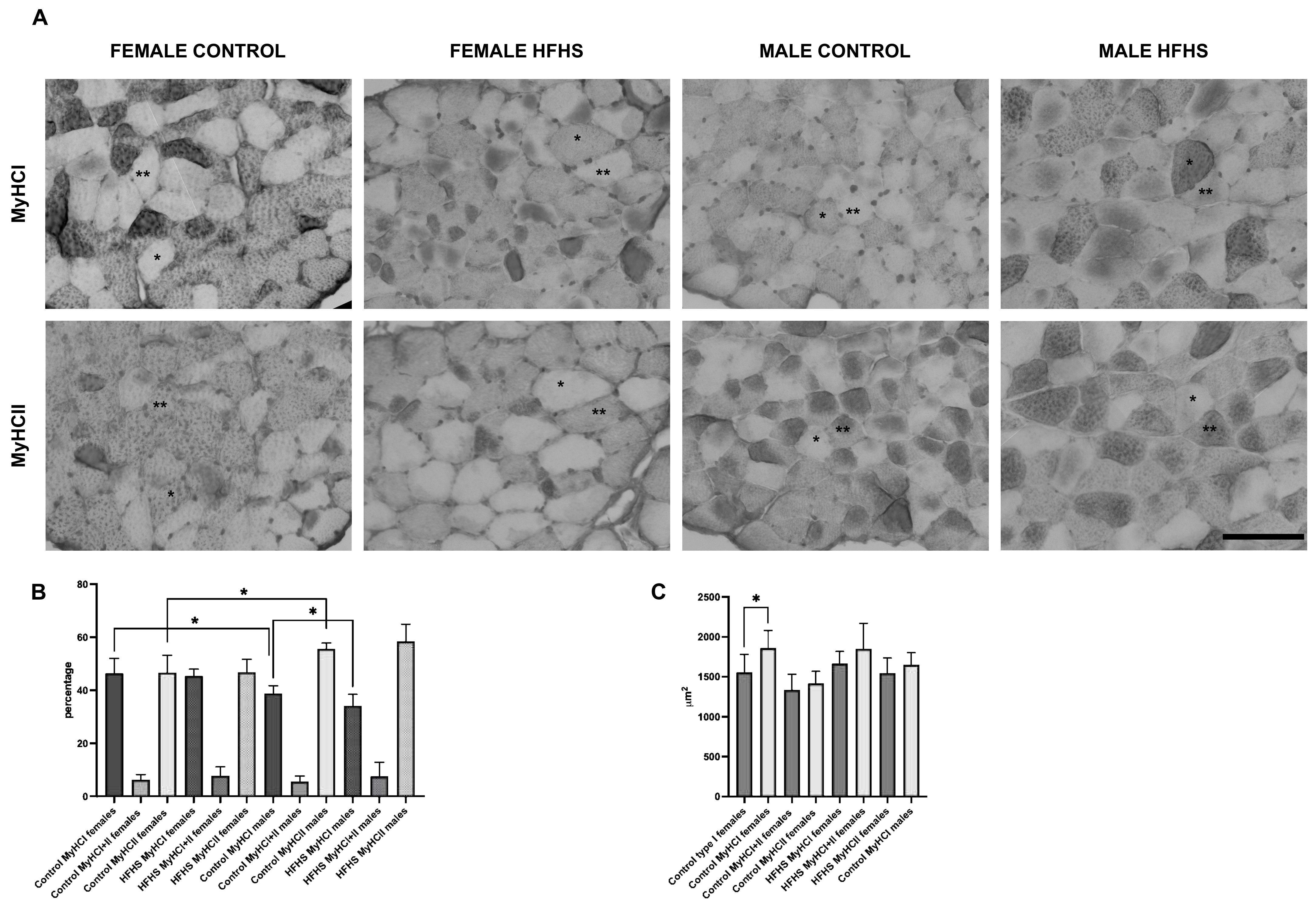 Nutrients 16 01467 g001