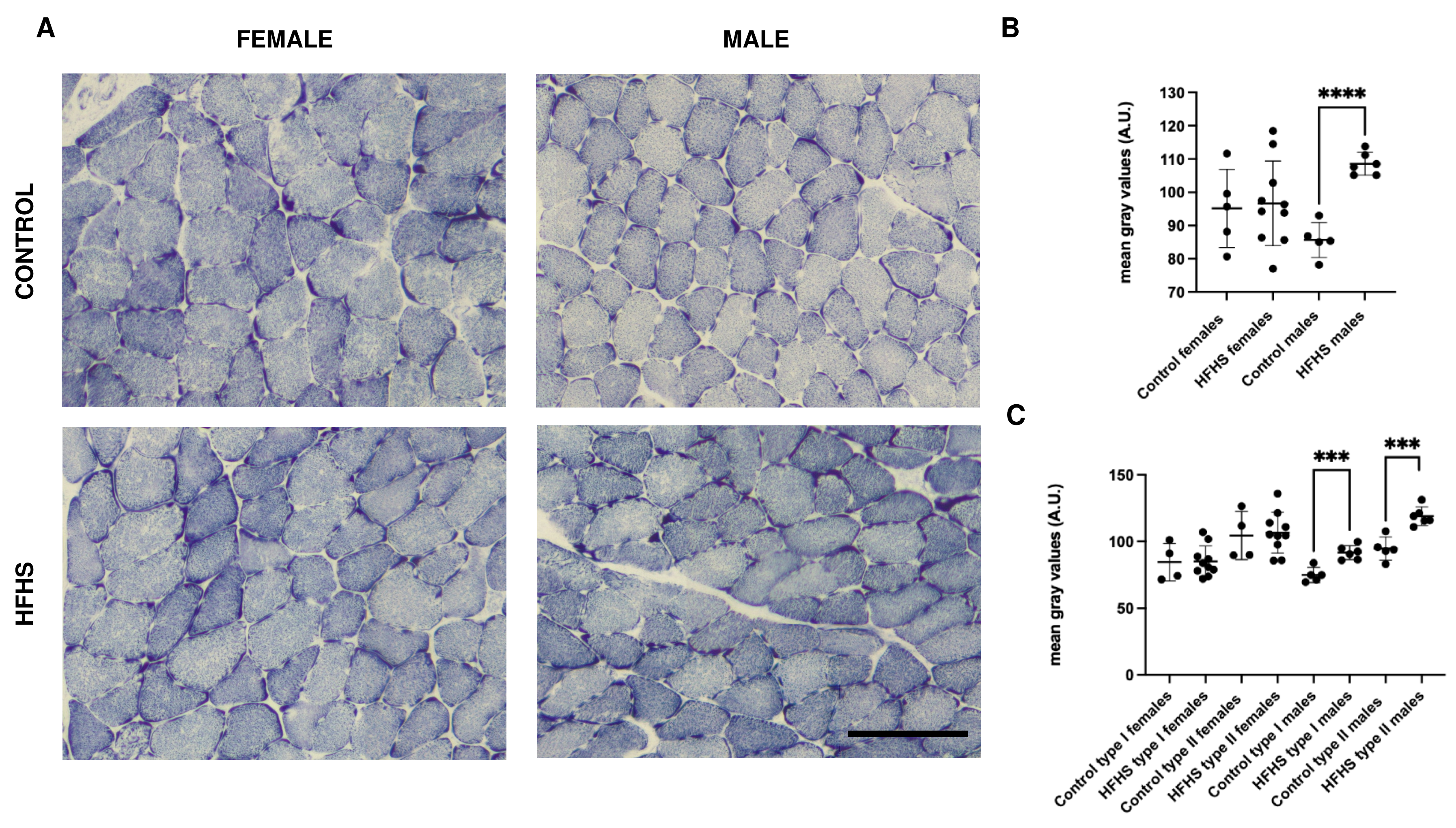 Nutrients 16 01467 g003