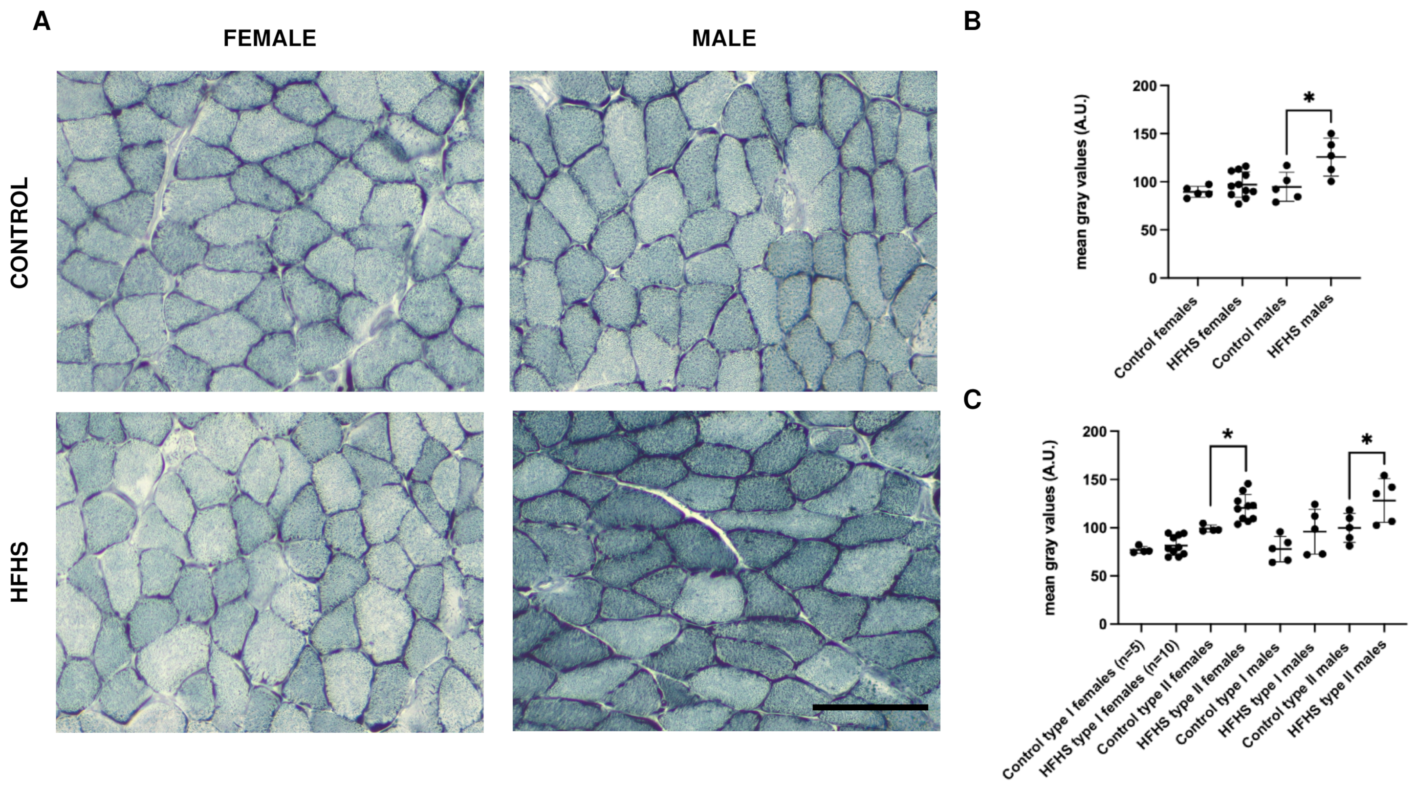 Nutrients 16 01467 g004