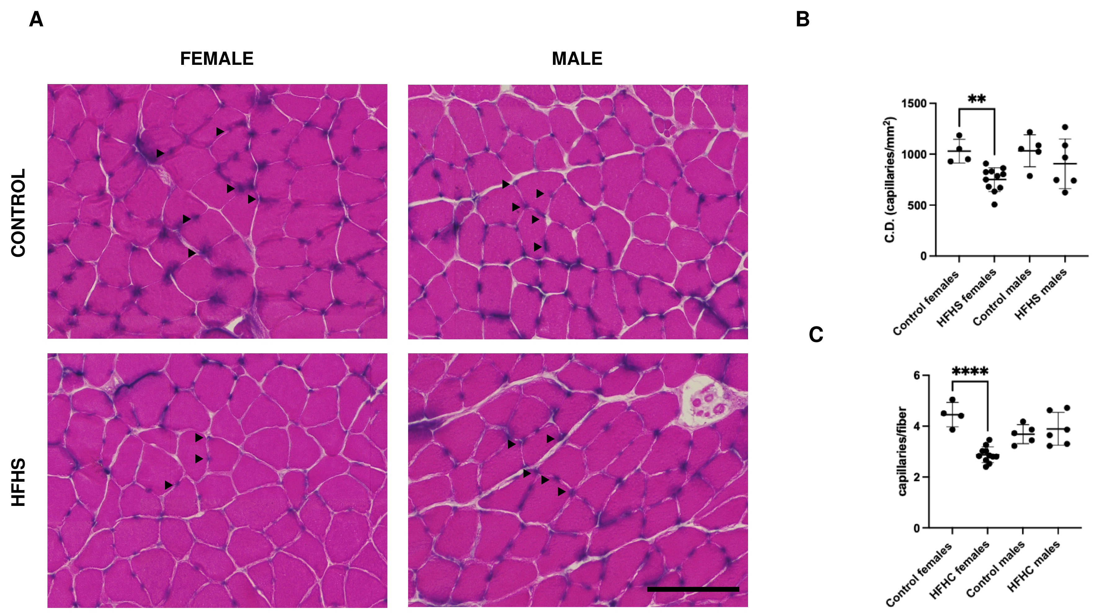 Nutrients 16 01467 g005