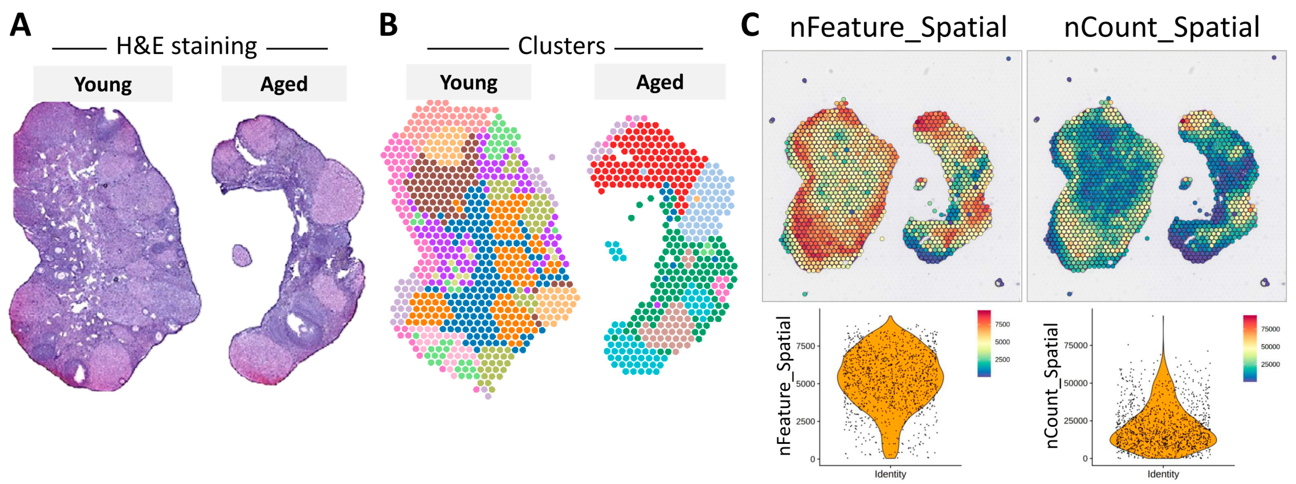 Nutrients 16 01470 g002