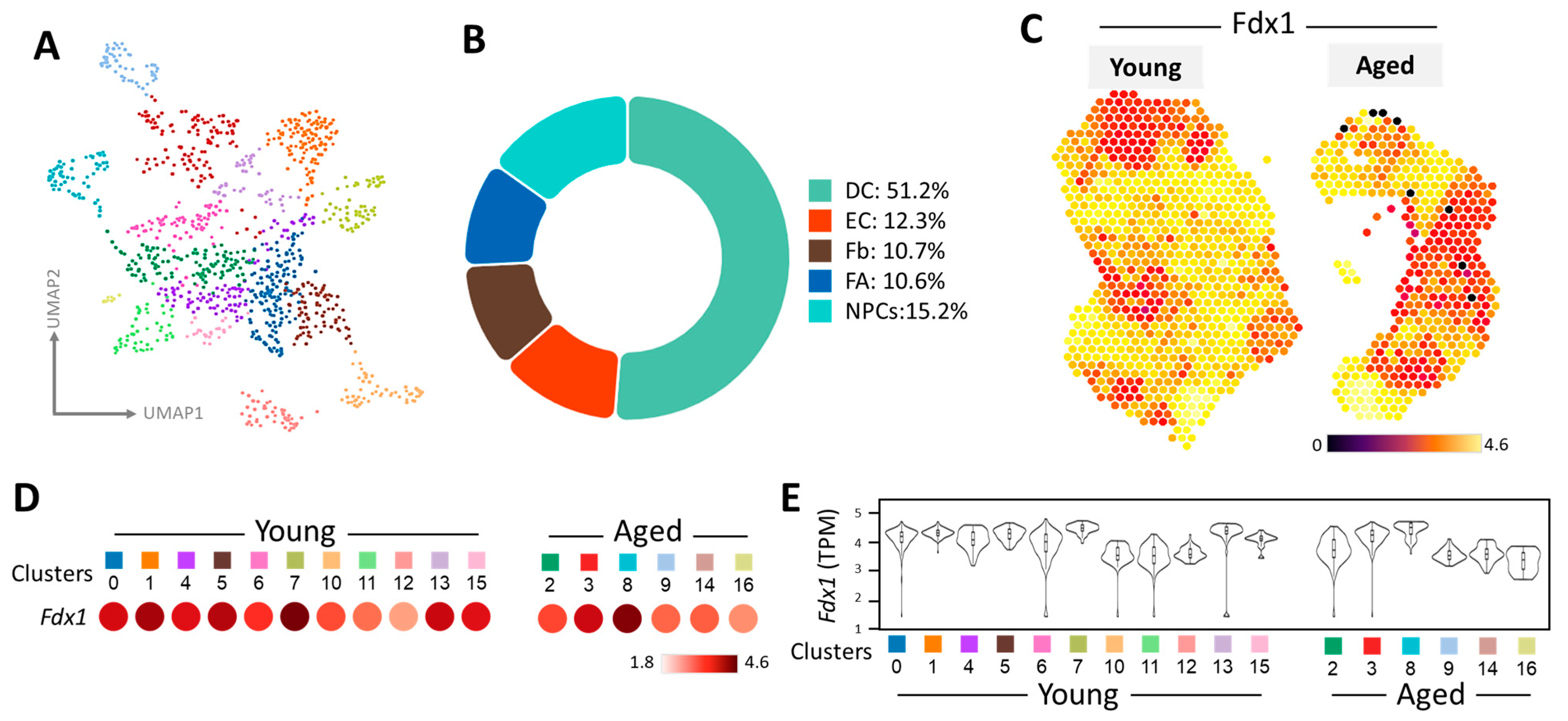 Nutrients 16 01470 g003