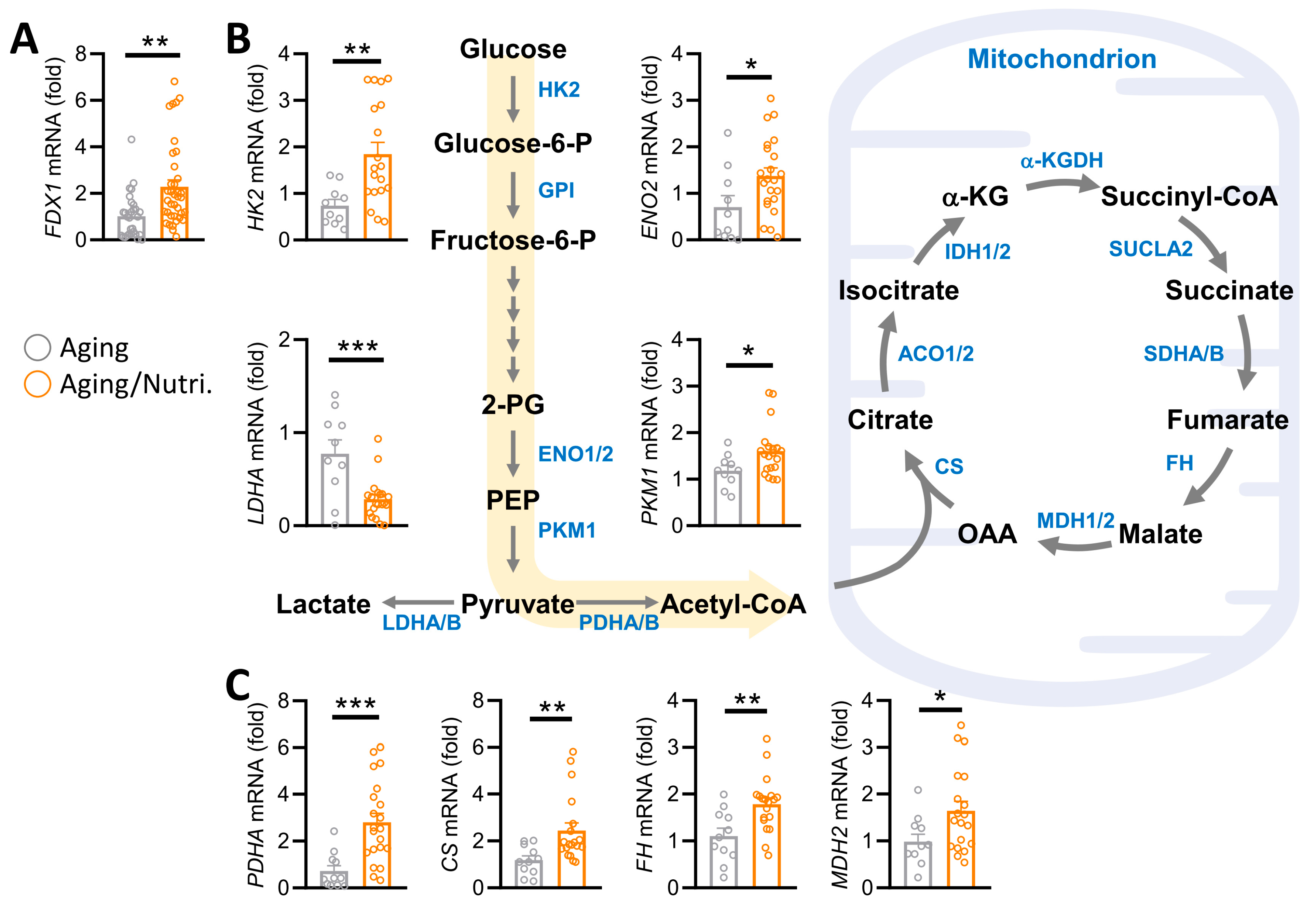Nutrients 16 01470 g005