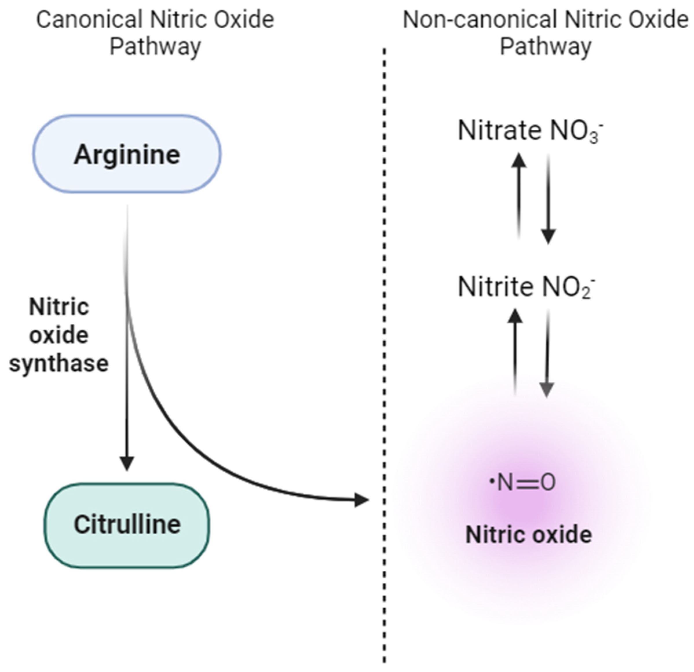 Nutrients 16 01475 g002