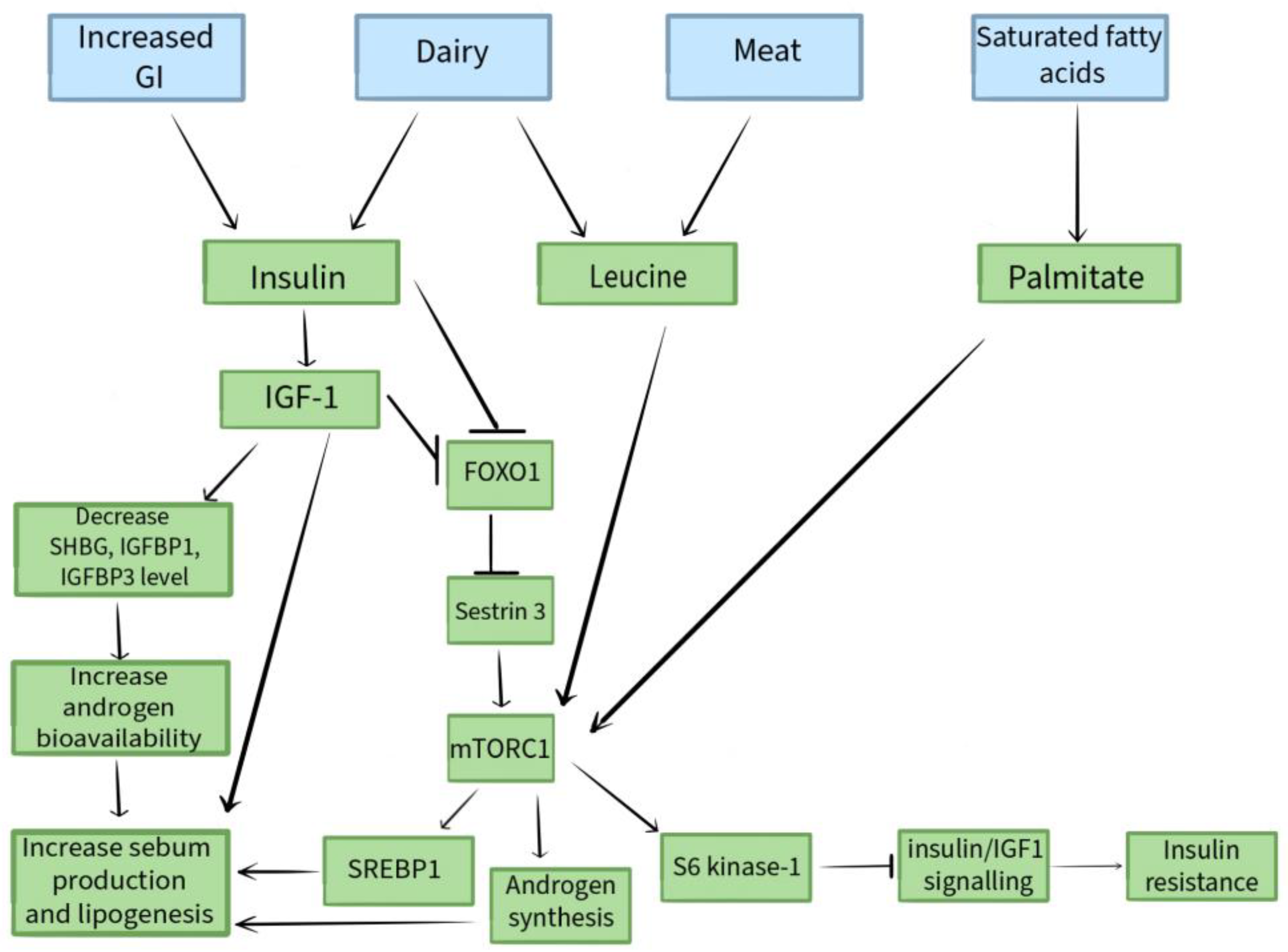 Nutrients 16 01476 g001