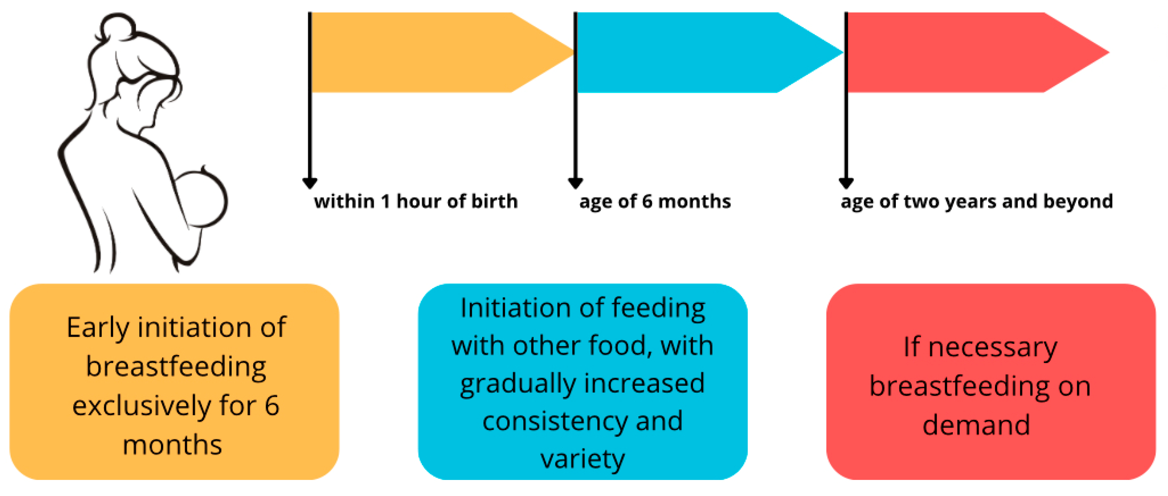 Nutrients 16 01487 g001