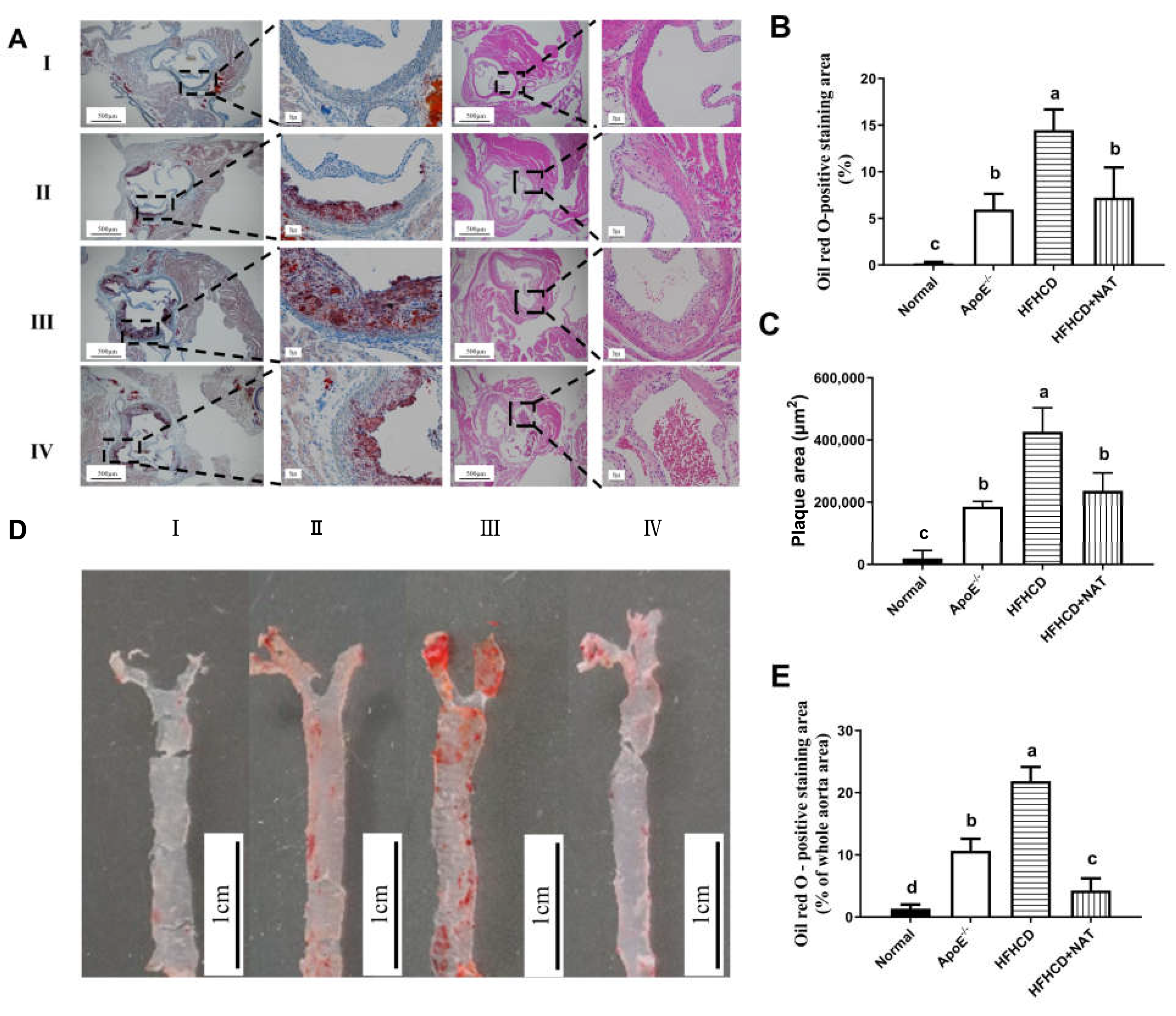 Nutrients 16 01502 g001