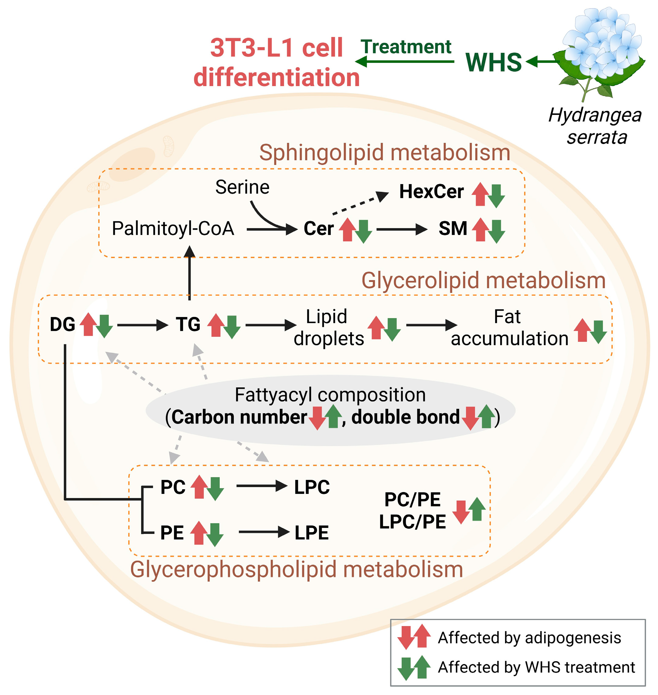 Nutrients 16 01508 g007