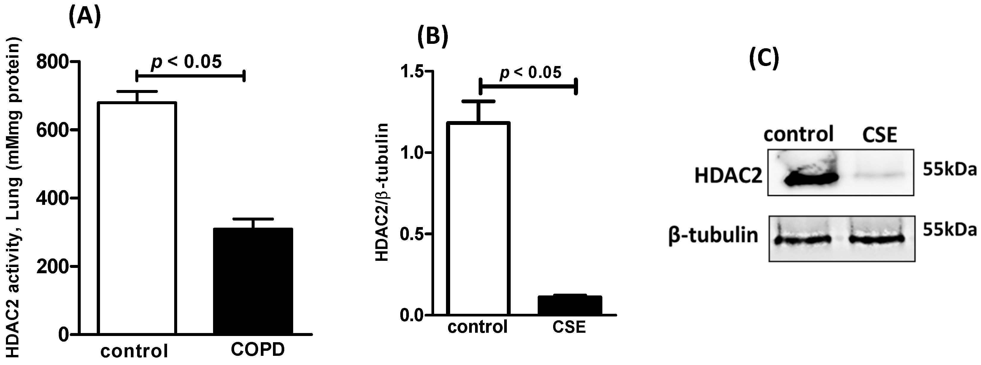 Nutrients 16 01509 g003