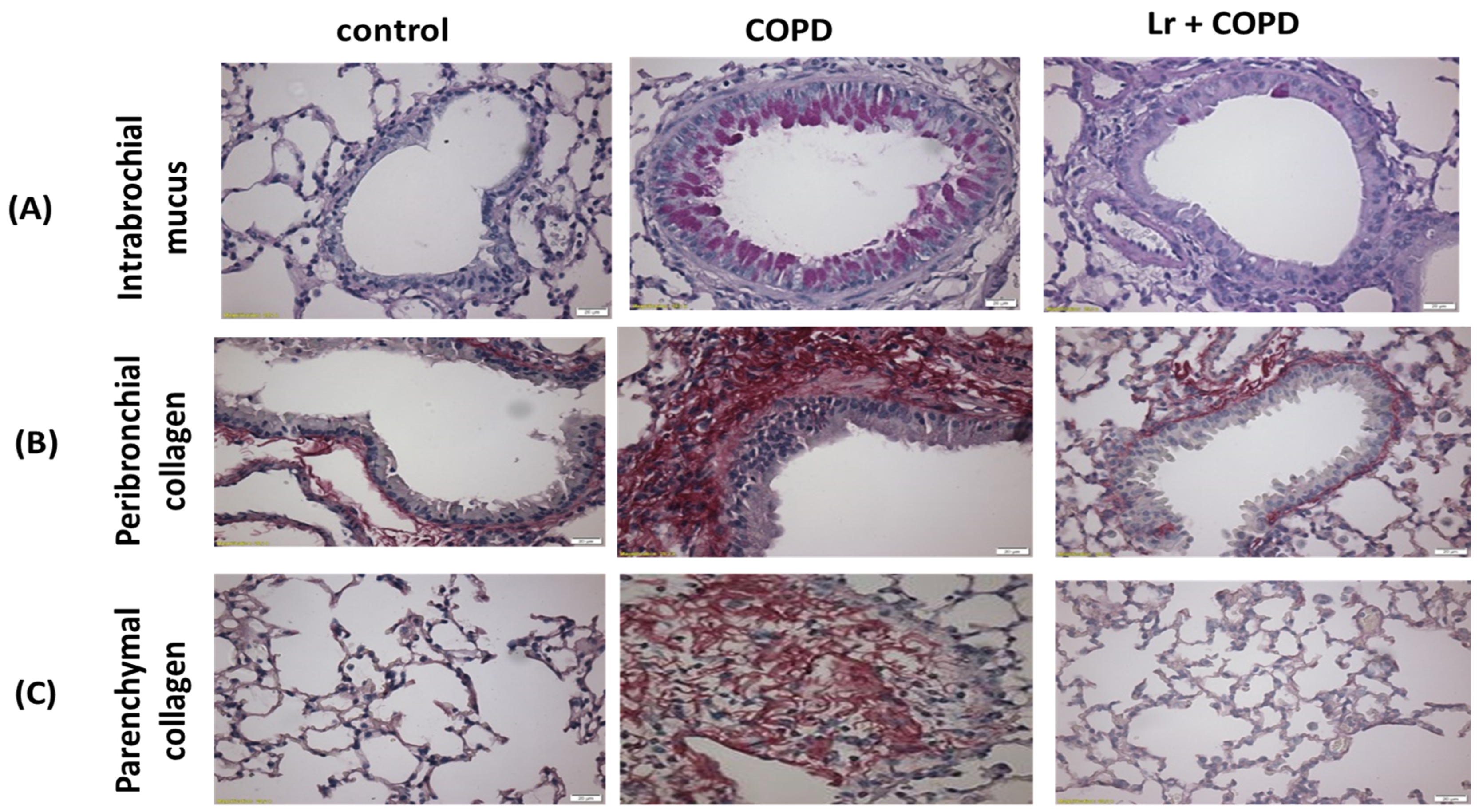 Nutrients 16 01509 g005