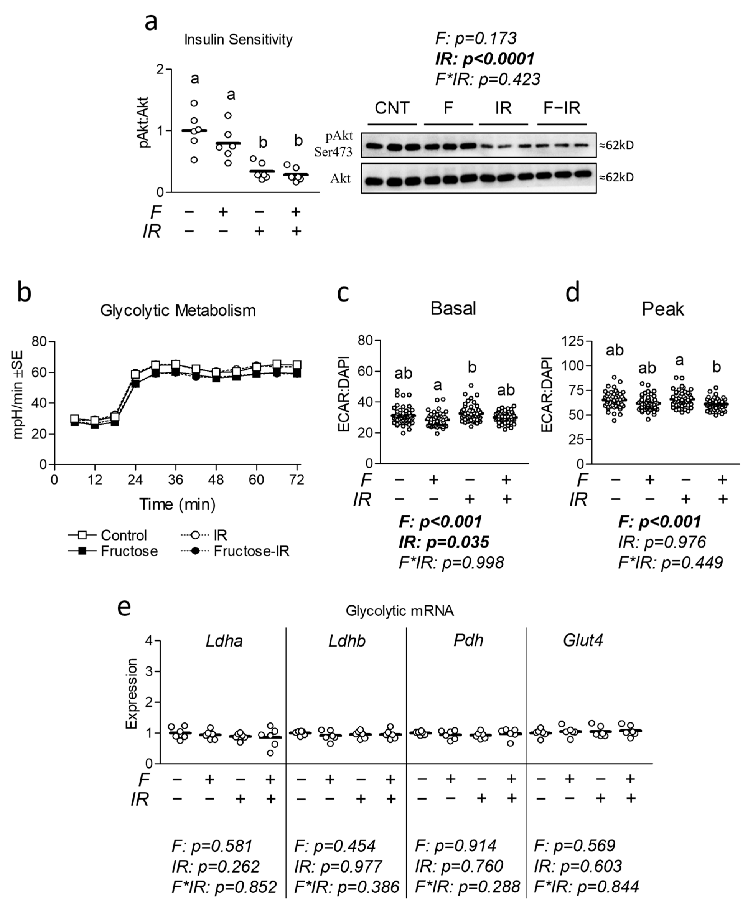 Nutrients 16 01582 g001
