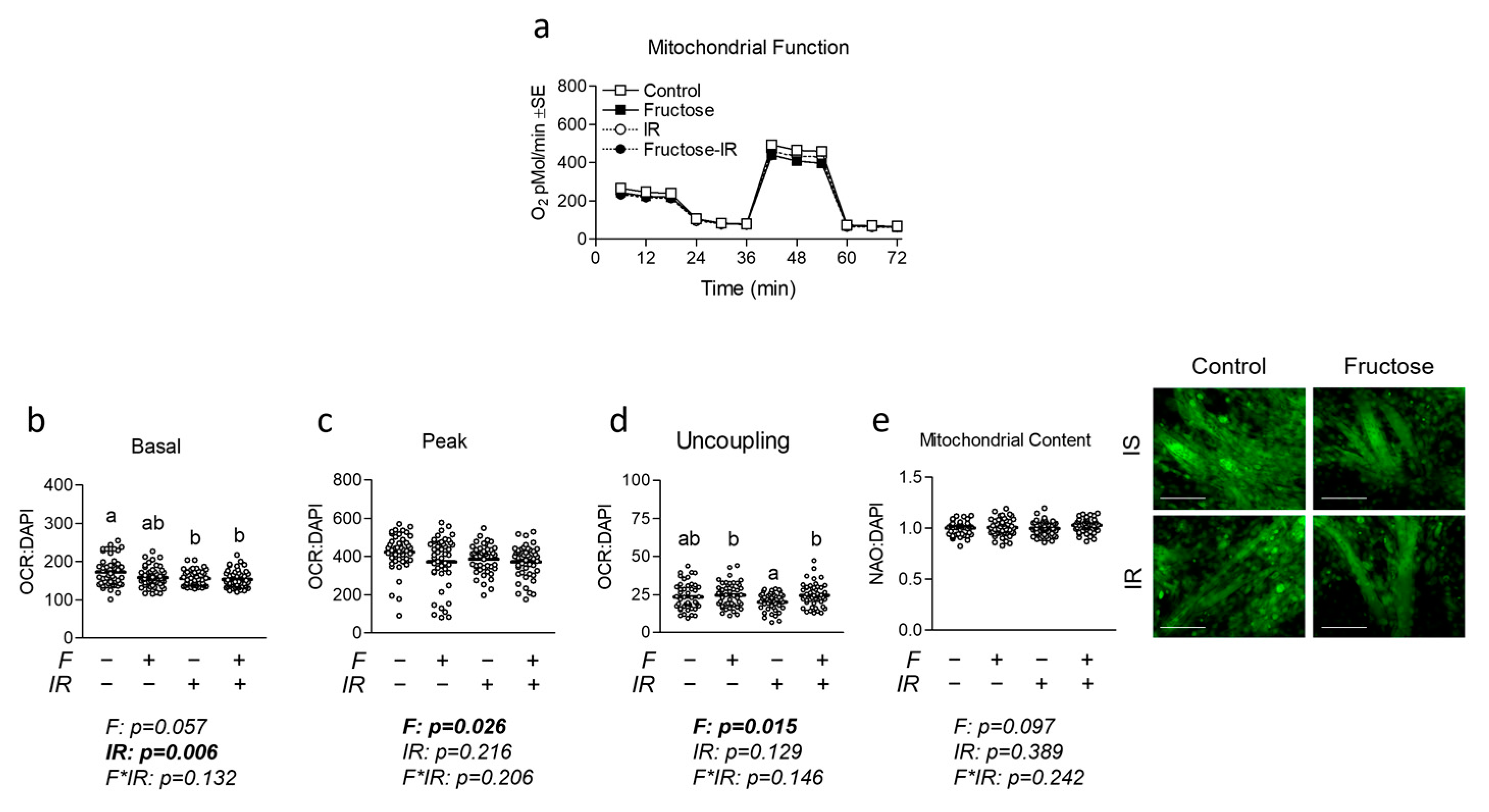 Nutrients 16 01582 g002