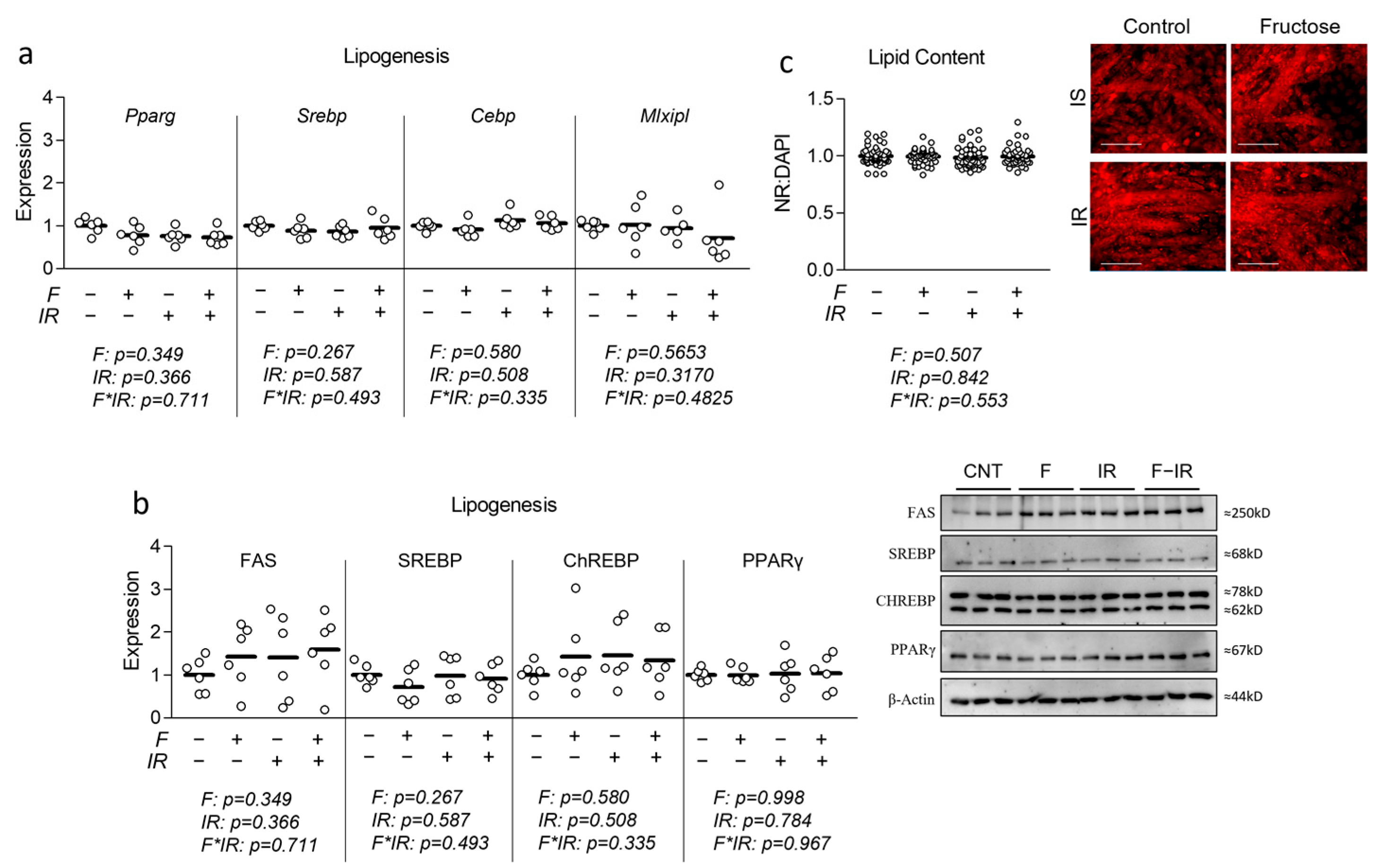 Nutrients 16 01582 g004