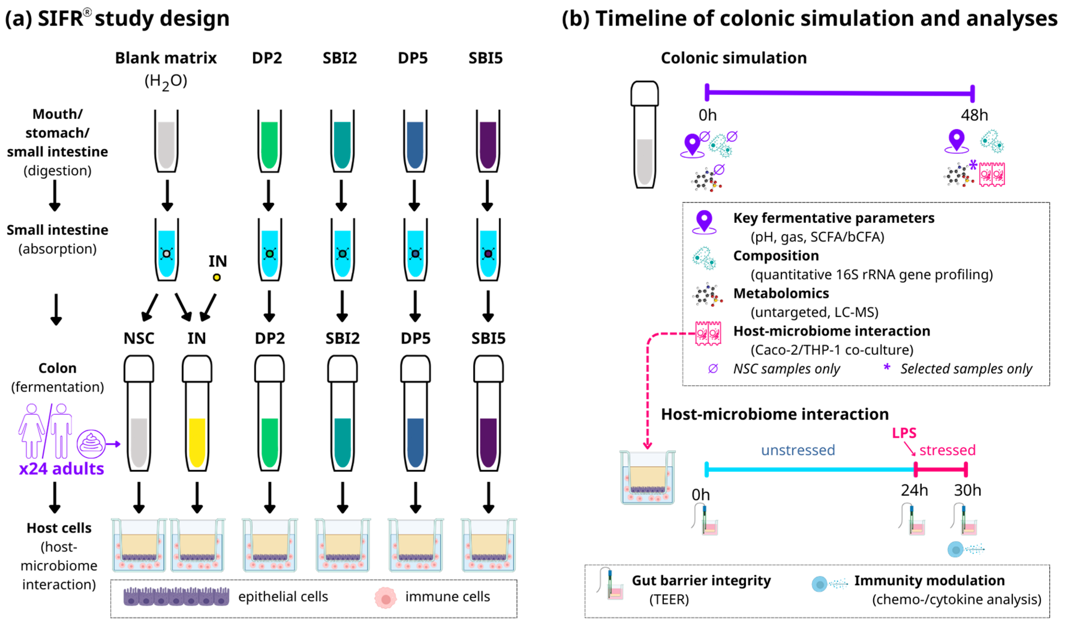 Nutrients 16 01585 g001